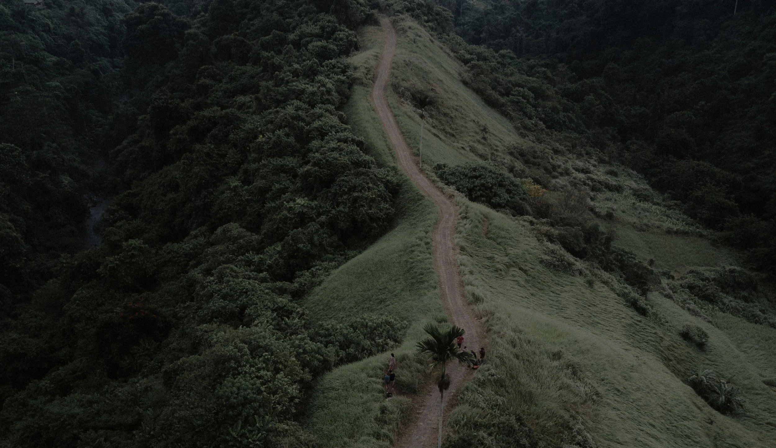 Ich erlaube mir, mich ehrlich zu zeigen und meinen eigenen Weg zu gehen.