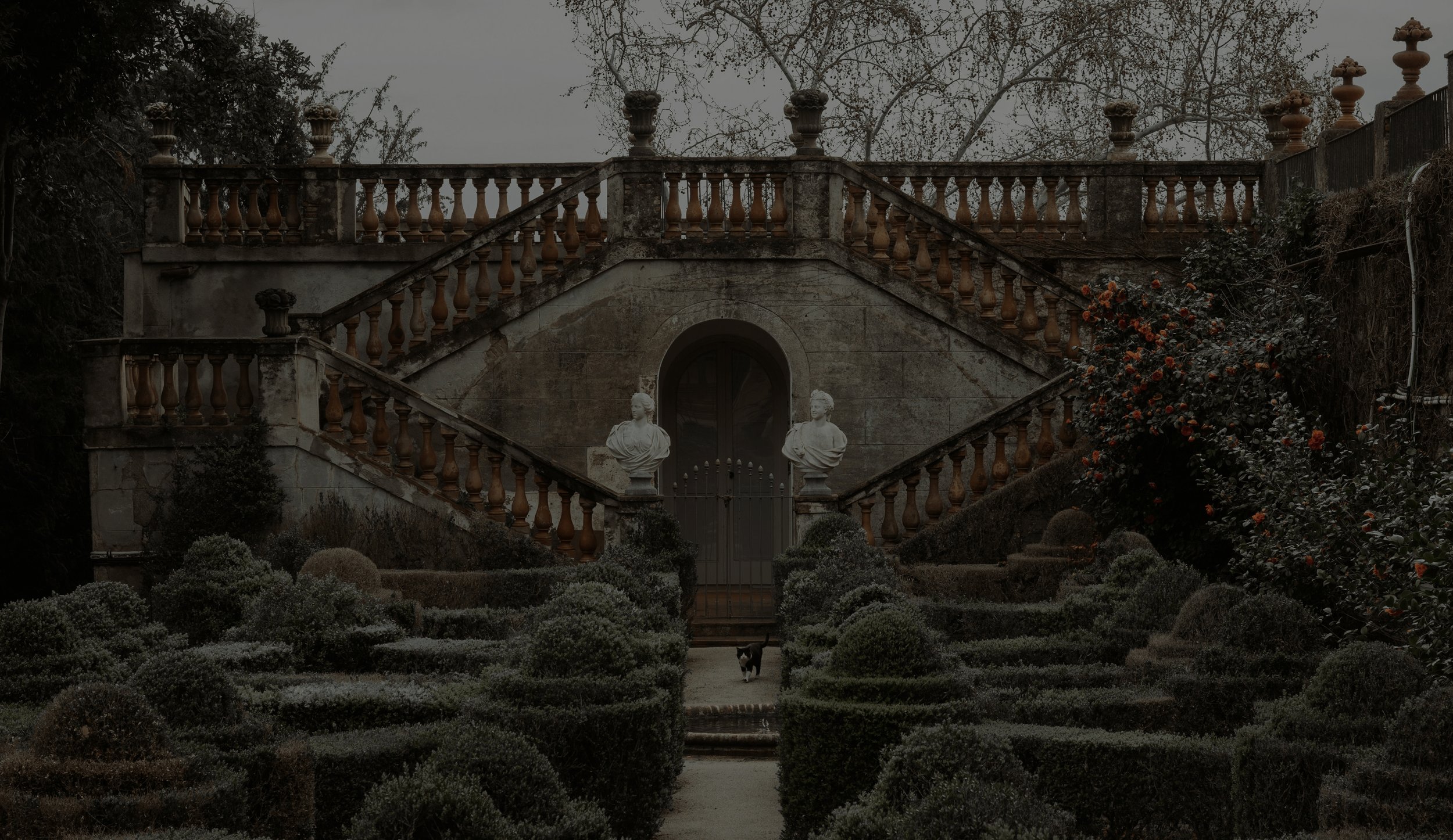 Ich richte mich bewusst neu aus und wähle den nächsten stimmigen Schritt.