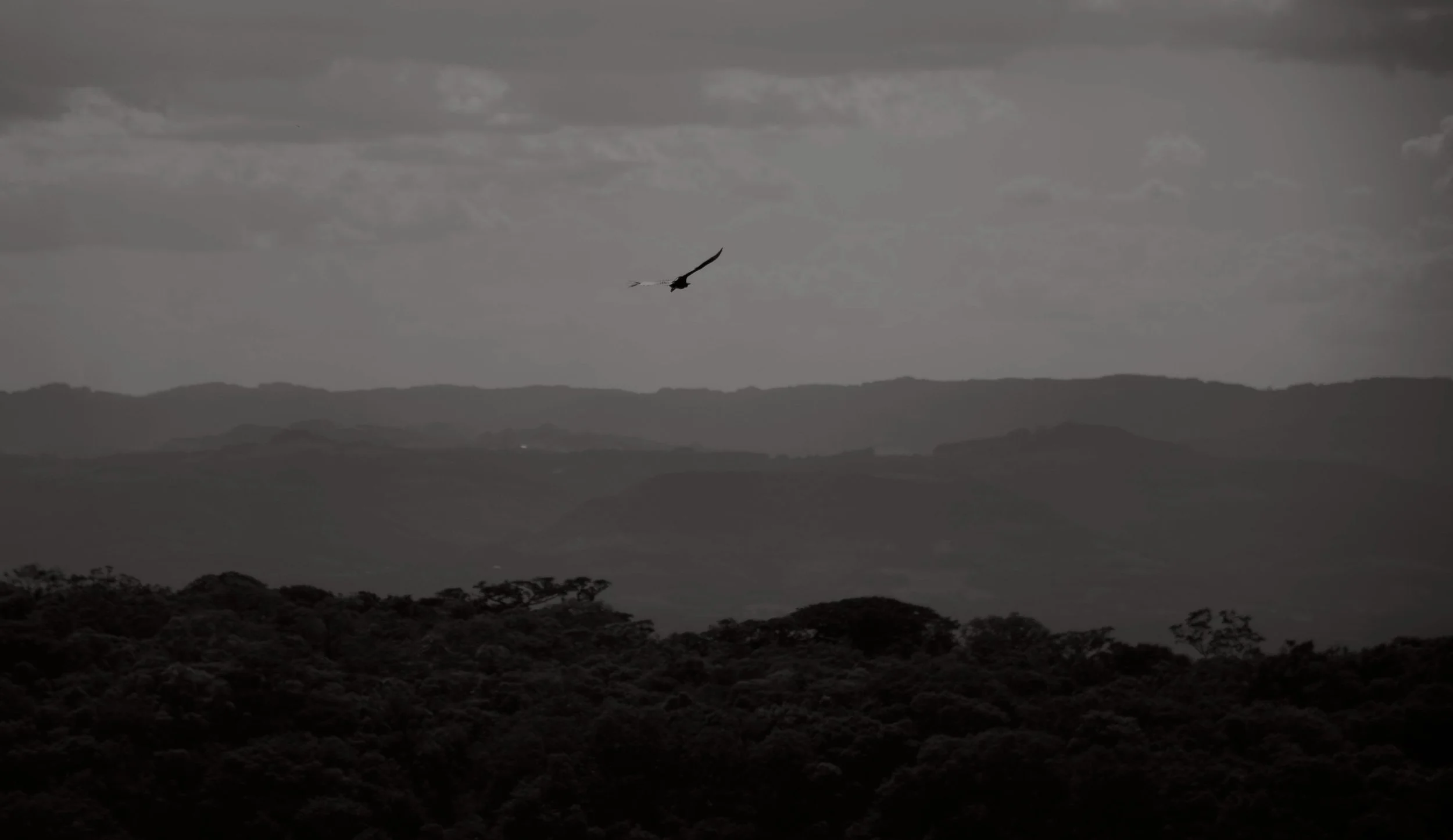 Ich erkenne meine eigene Wahrheit und erlaube mir, sie zu leben.