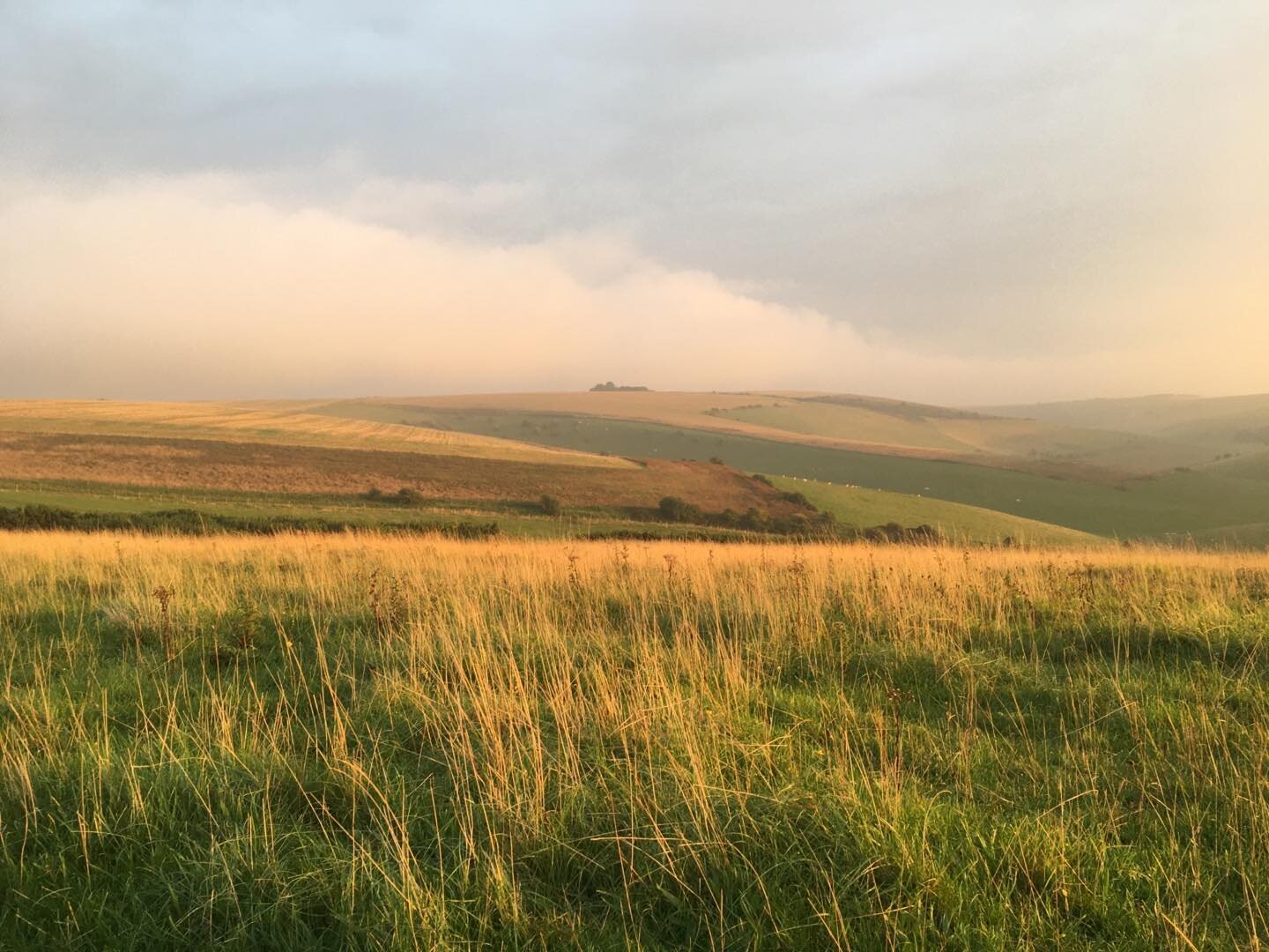 The Downs are looking pretty ethereal right now  #natureismagical #natureconnection #wildtherapy #ecotherapy #wildwalks #windywalks #autumn