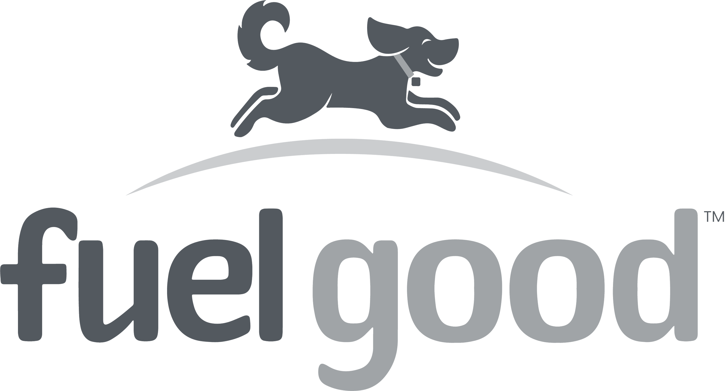 FleliGood logo featuring a cartoon gray dog with a collar, running over a curved shape, with the text 'FleliGood' in large, stylized letters below.