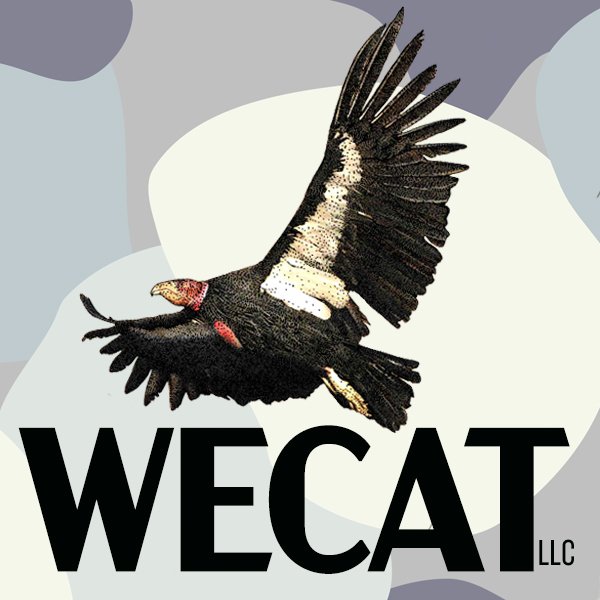 WECAT LLC