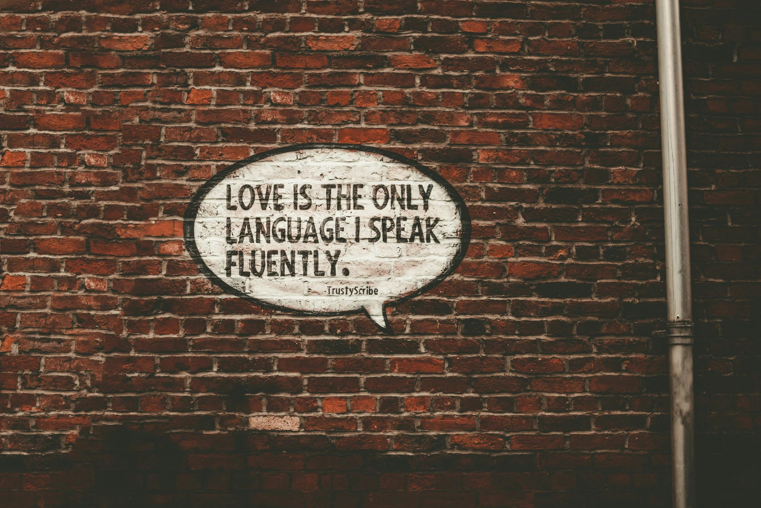 love is the only language I speak fluently quote about love languages and emotional connection