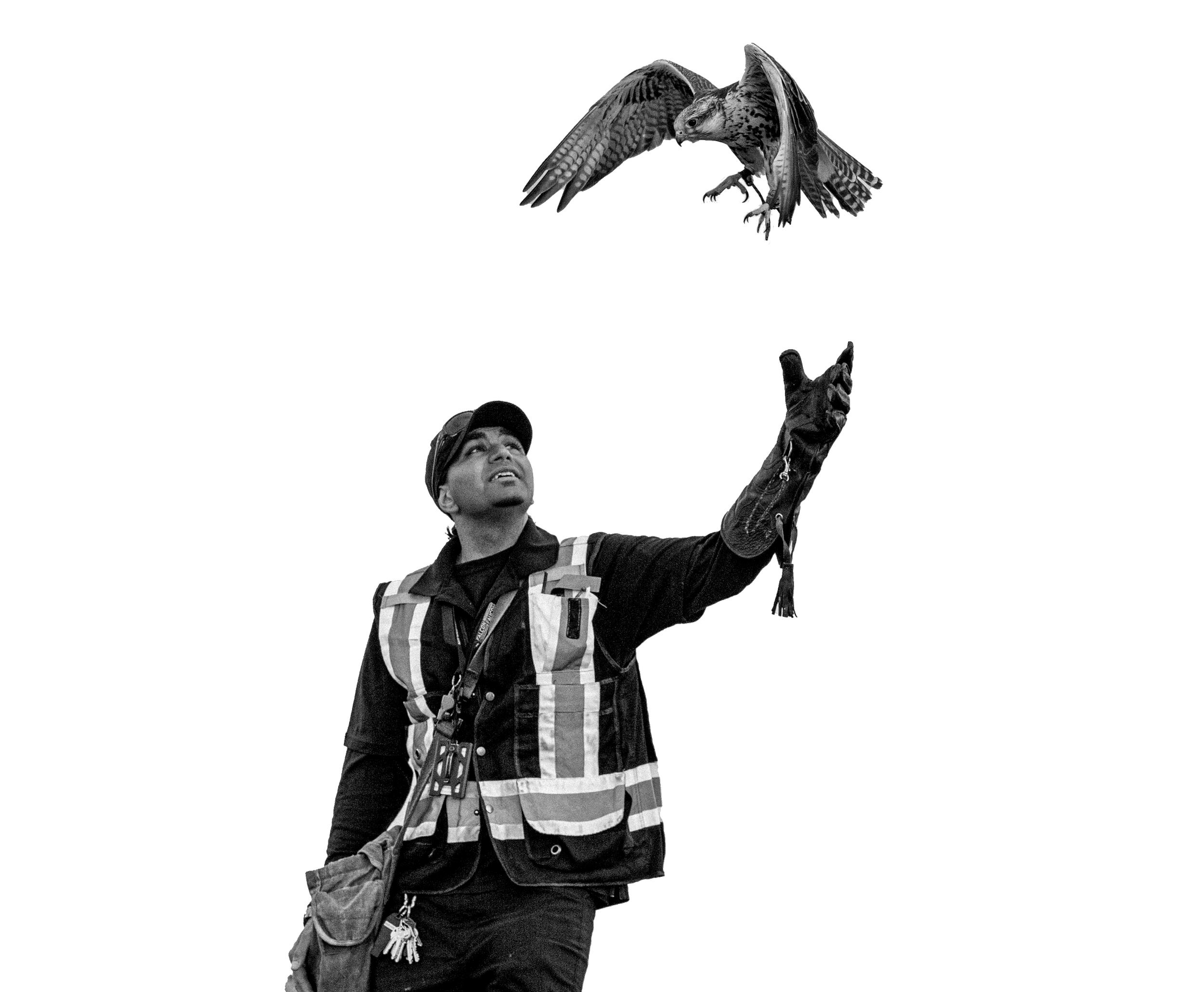 Waiting in the Wings