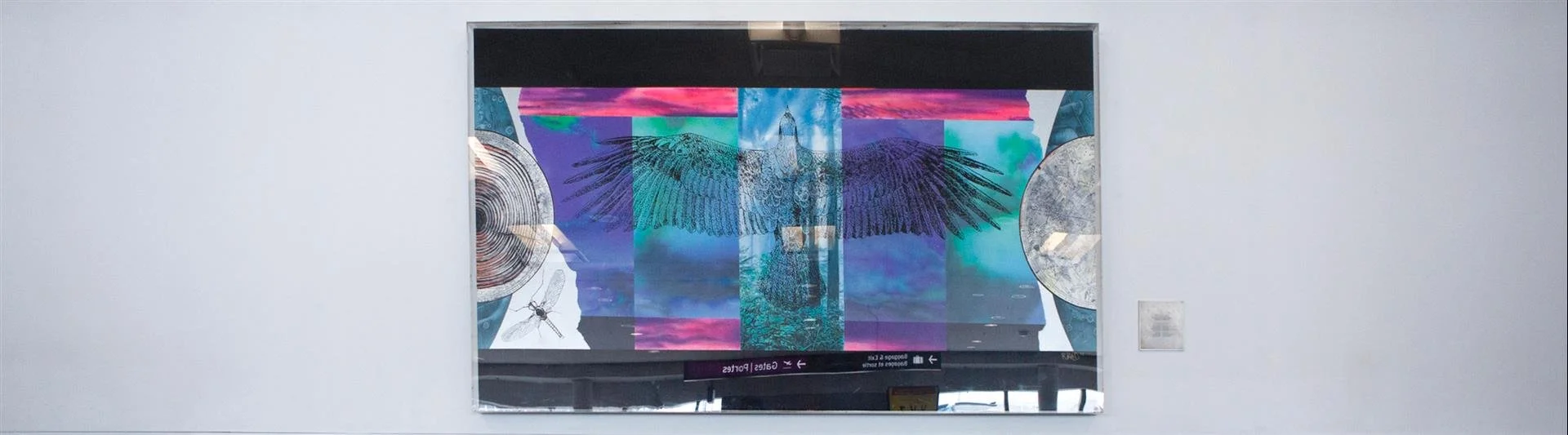 3 Women Artists Who Inspire at Pearson