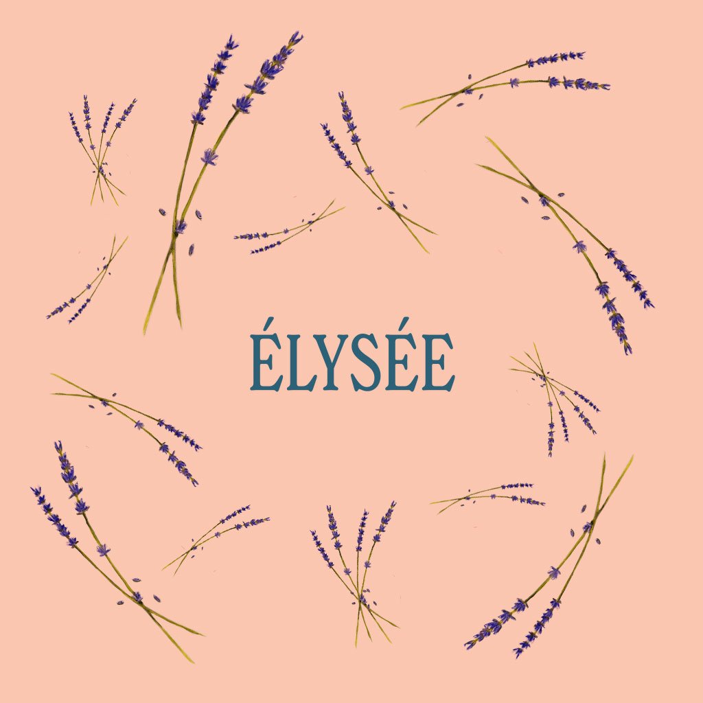 Élysée (level 7), Wednesdays, April 9 to May 28, 11:00AM to 12:30PM, IN-PERSON