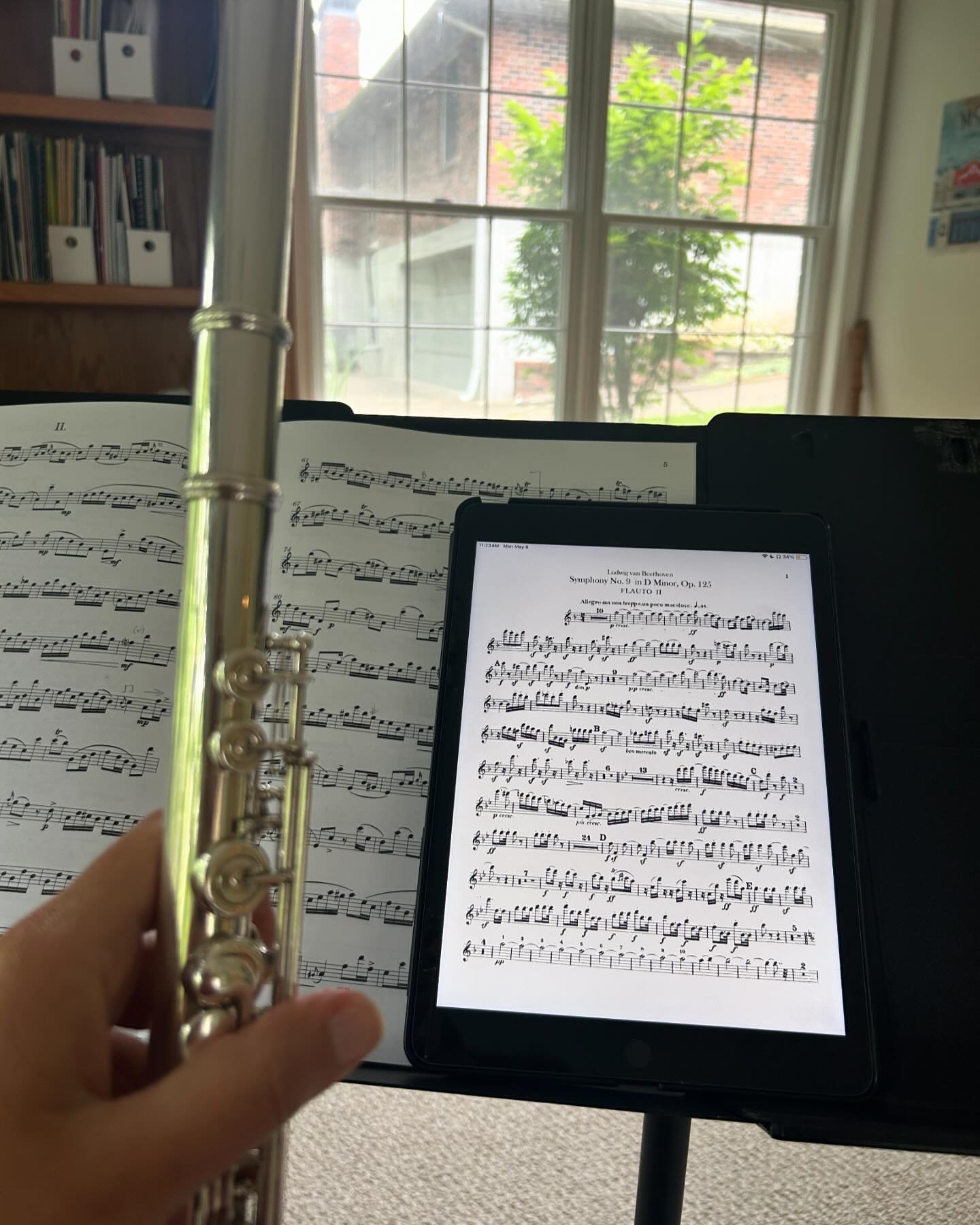 Monday&rsquo;s view vs. Friday&rsquo;s view. 

No nature music today, but I am diving into a different kind of adventure&hellip; Beethoven&rsquo;s 1st and 9th Symphonies in preparation for the @mosymphony Firefly Music Festival next month. ☺️🤩🥳

Th