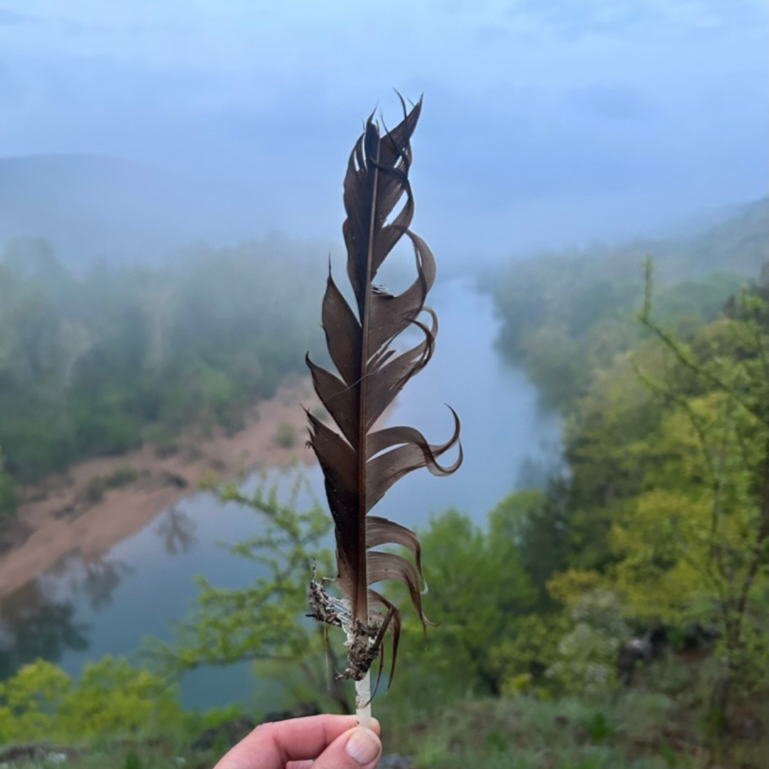Hike in a Dewy Wooded Wonderland: Peaceful Nature Music