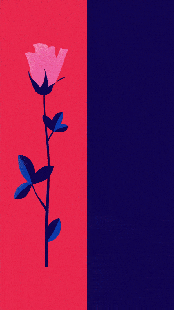 ezgif.com-optimize (5).gif