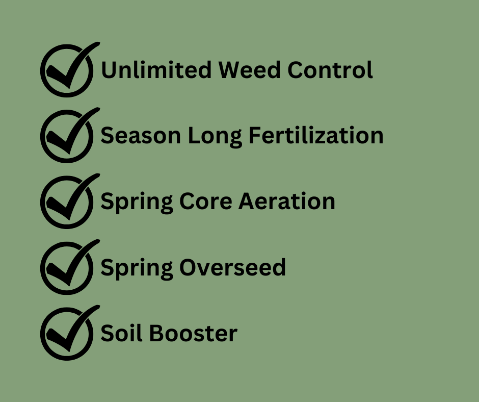 Lawn Care Excellence Quality, Affordability, Service Weed Boss