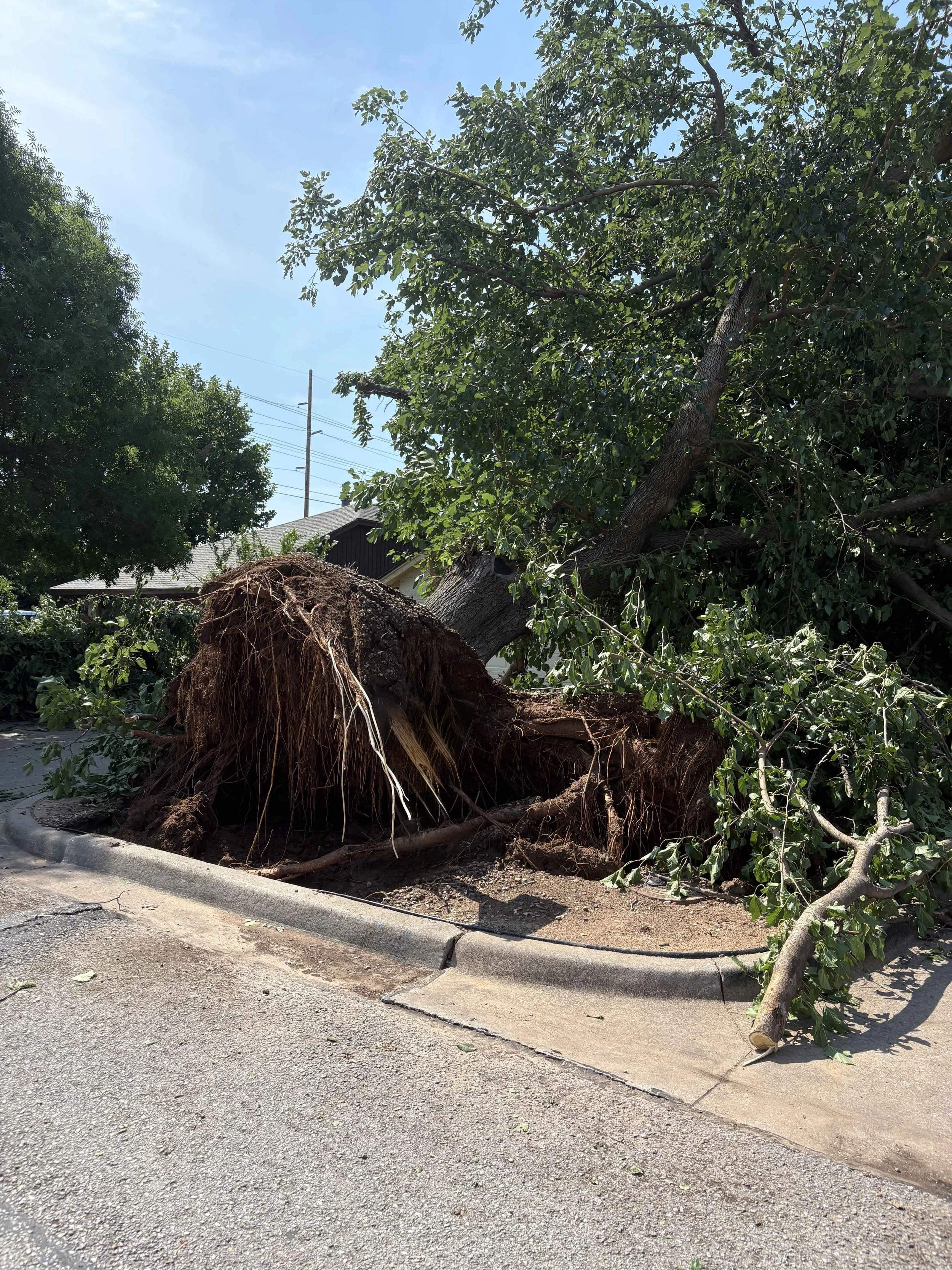 Norman/Moore Storm Damage: What Homeowners Need to Know After the July 4th Storms