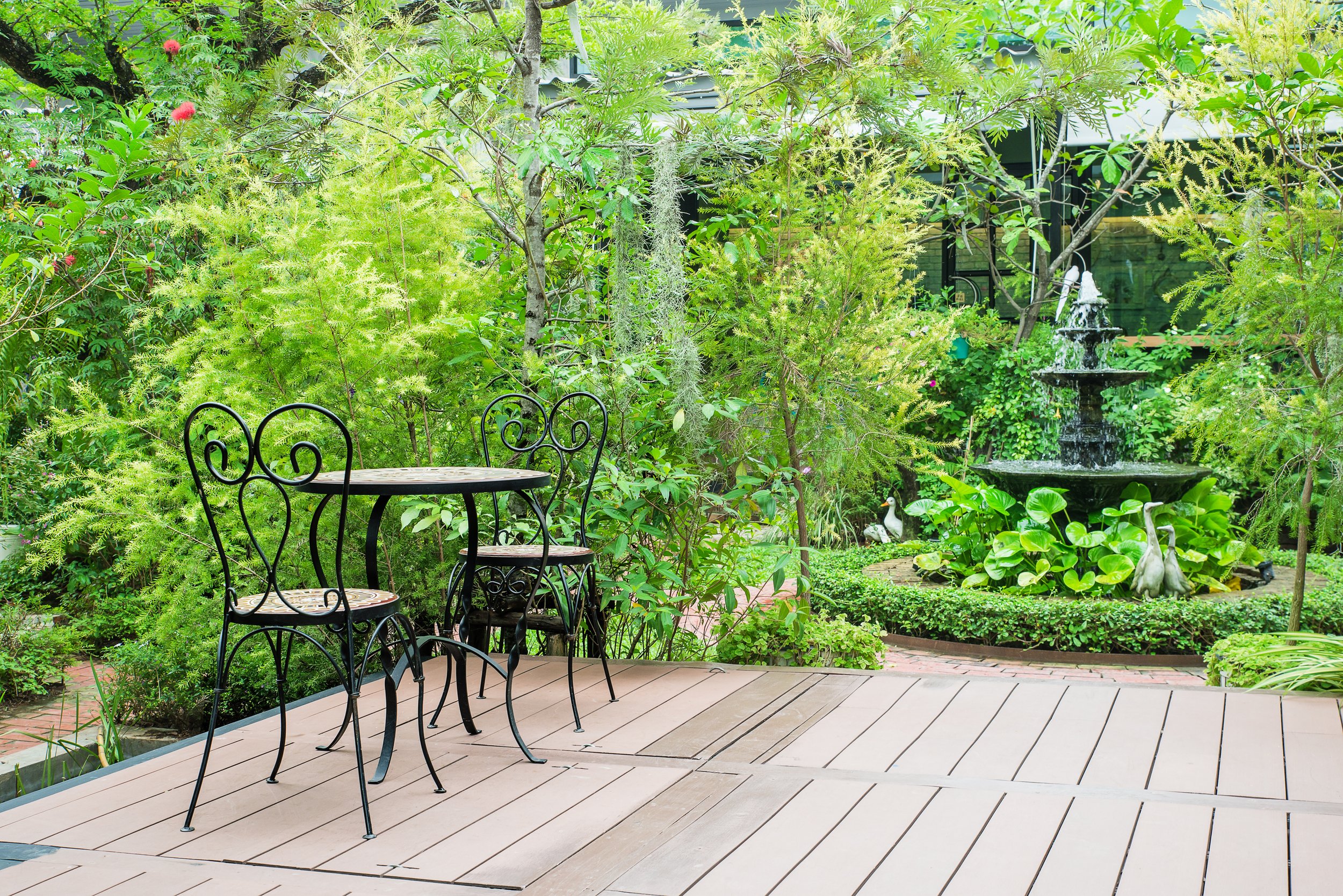 Outdoor living space, small tree and shrub pruning and maintenance, tree disease management