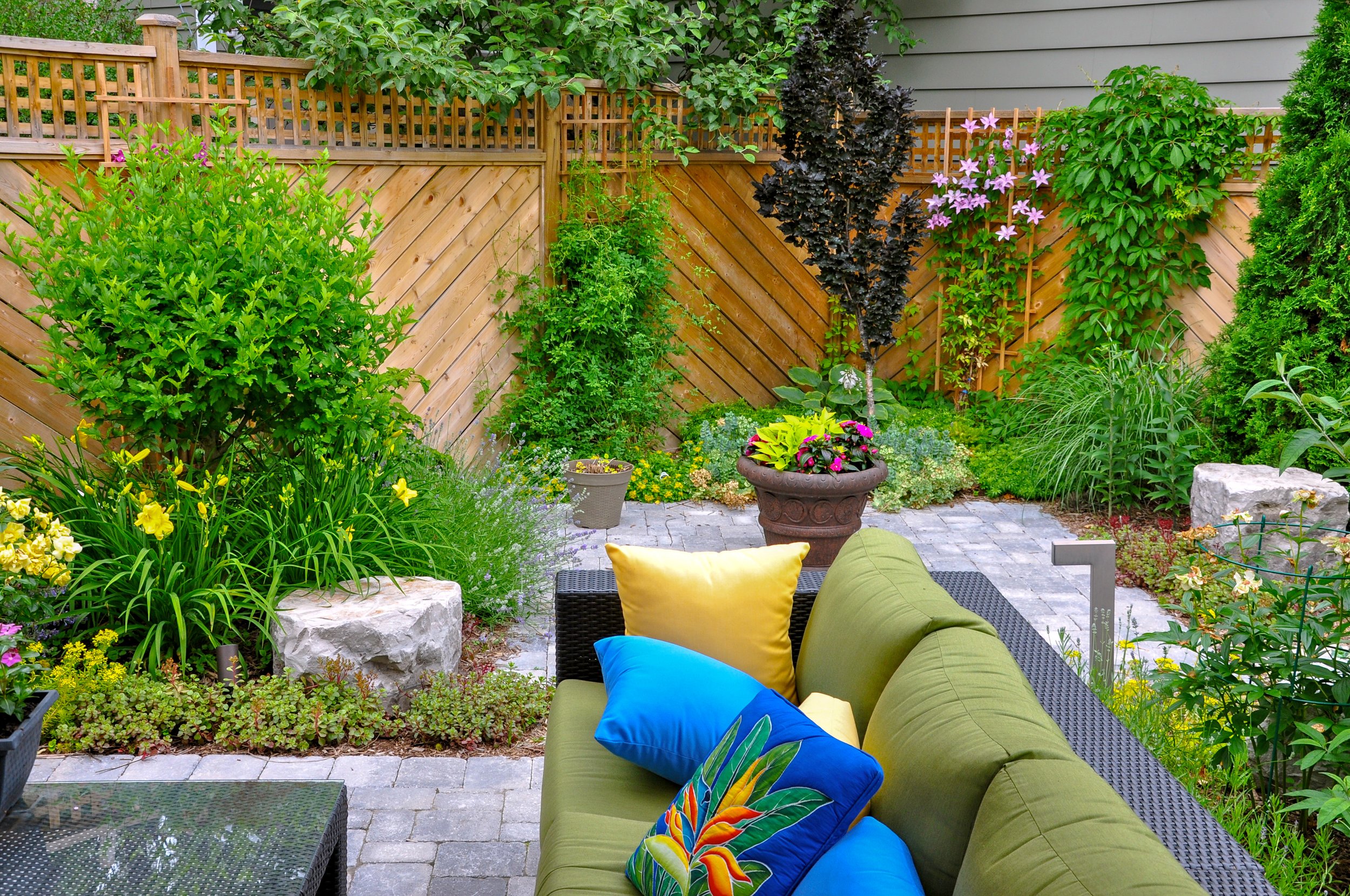 Outdoor living space, small trees, ornamental tree maintenance, tree pruning