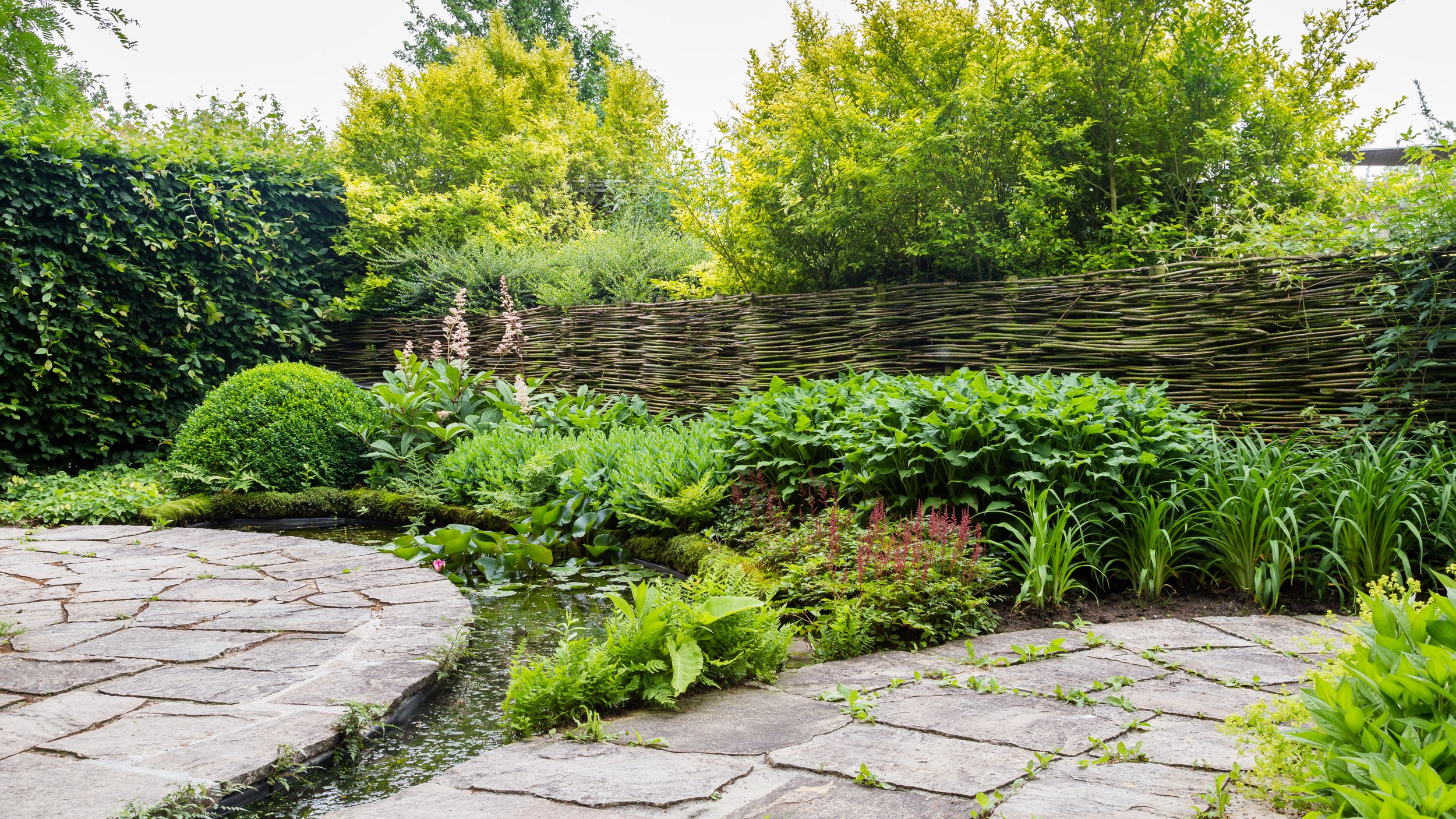 Outdoor living, patio landscaping, woody shrub pruning, small tree maintenance