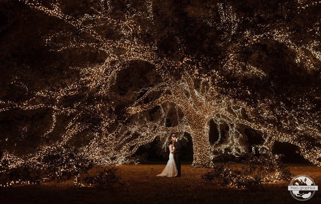 A couple stands embracing beneath a large tree wrapped in white string lights, creating a romantic, illuminated backdrop at night.