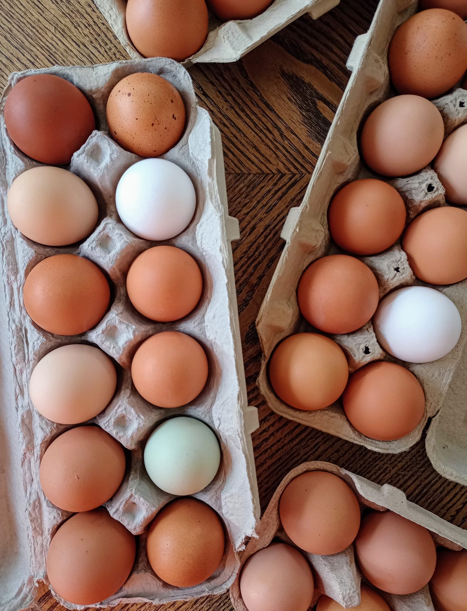 sierrafarms-eggs.jpg