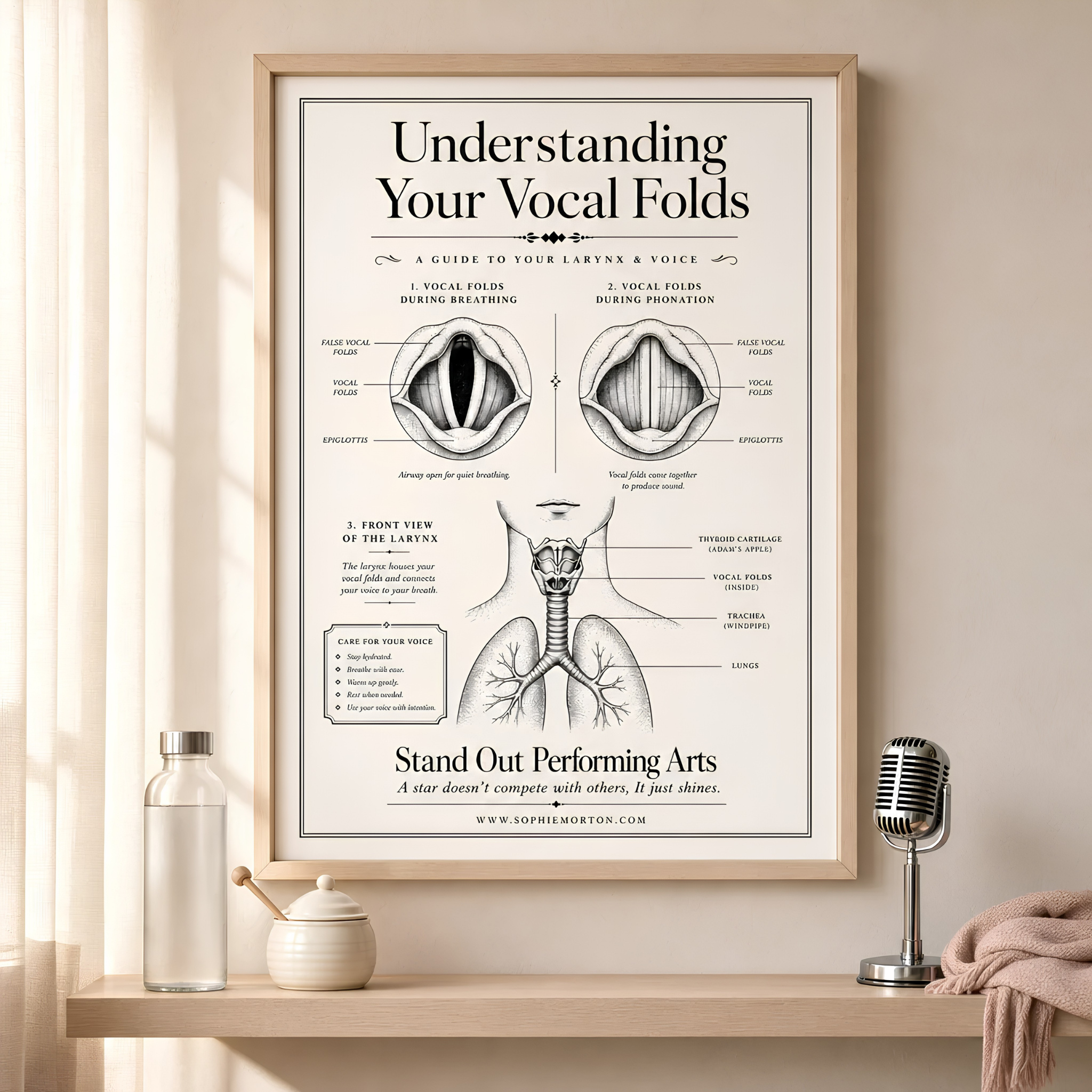 Understanding Your Vocal Folds educational poster for vocal coaching, singing physiology and music lessons