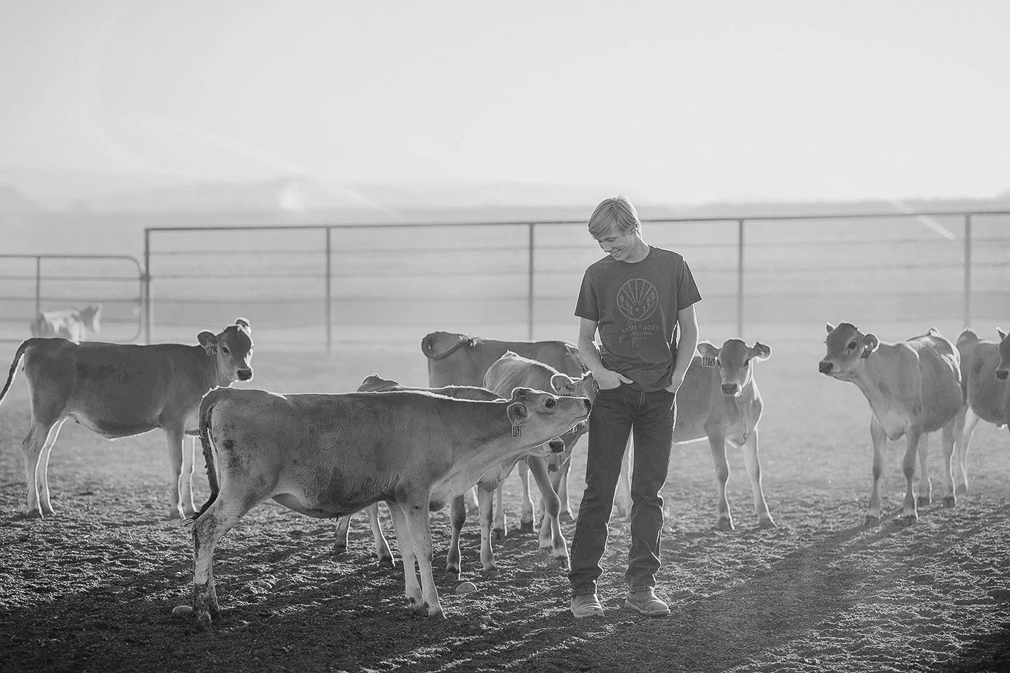 Sunnyside Highschool grad with his cows in Outlook, WA 
