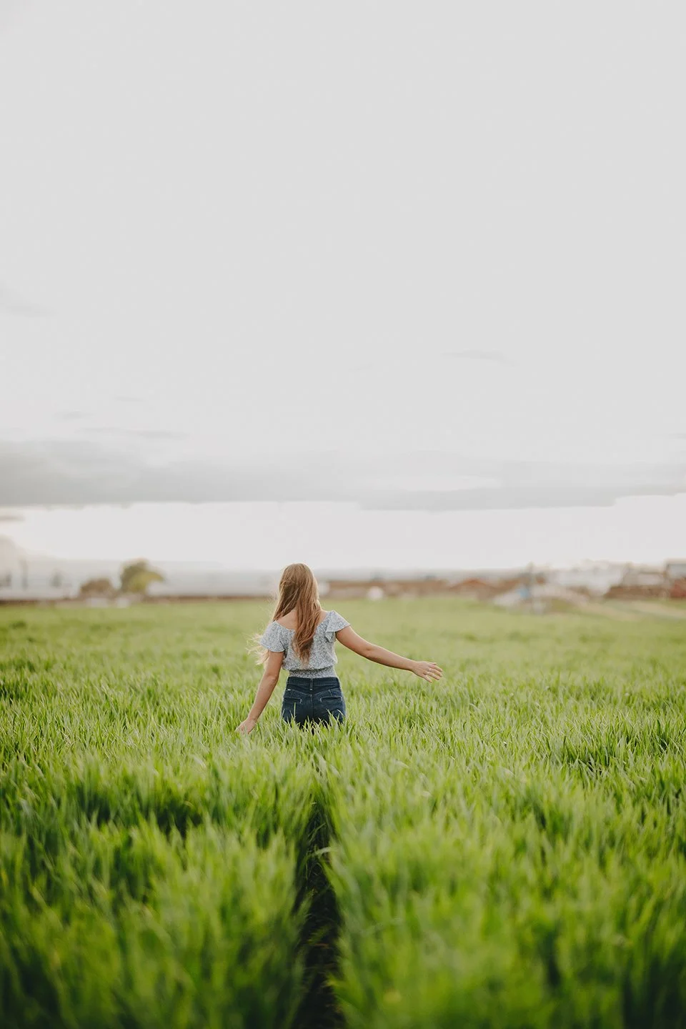 Tri-Cities senior portrait of a teen girl standing in a cornfield, captured from the back, wearing jeans for a natural country-inspired look by Ob Cruz Photography.