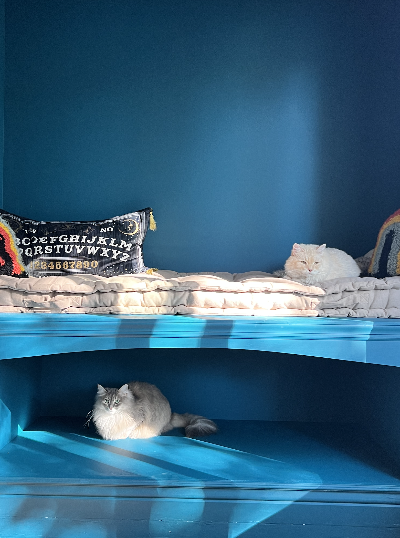 turning the closet into a reading nook pt 6