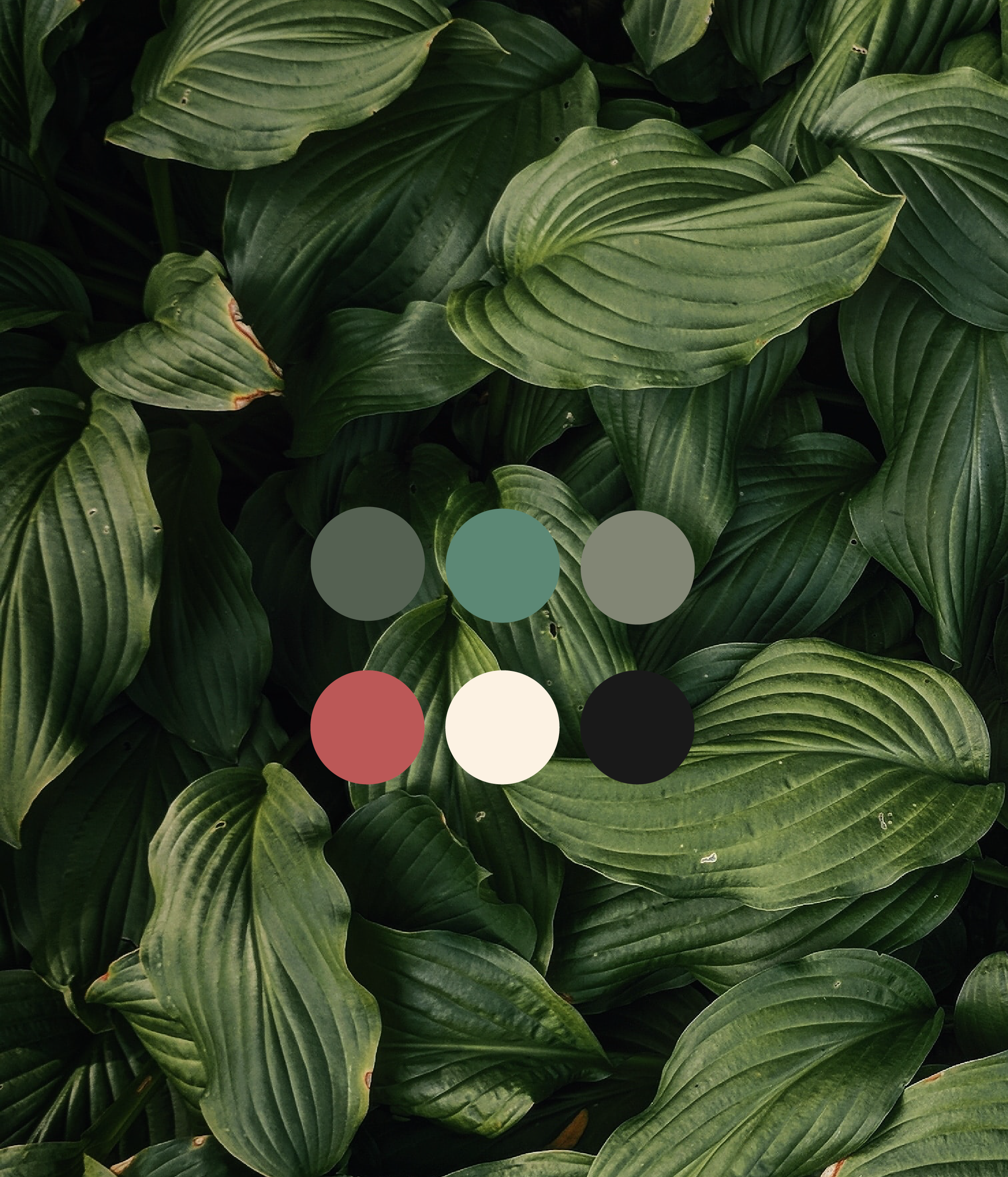 green-02.png