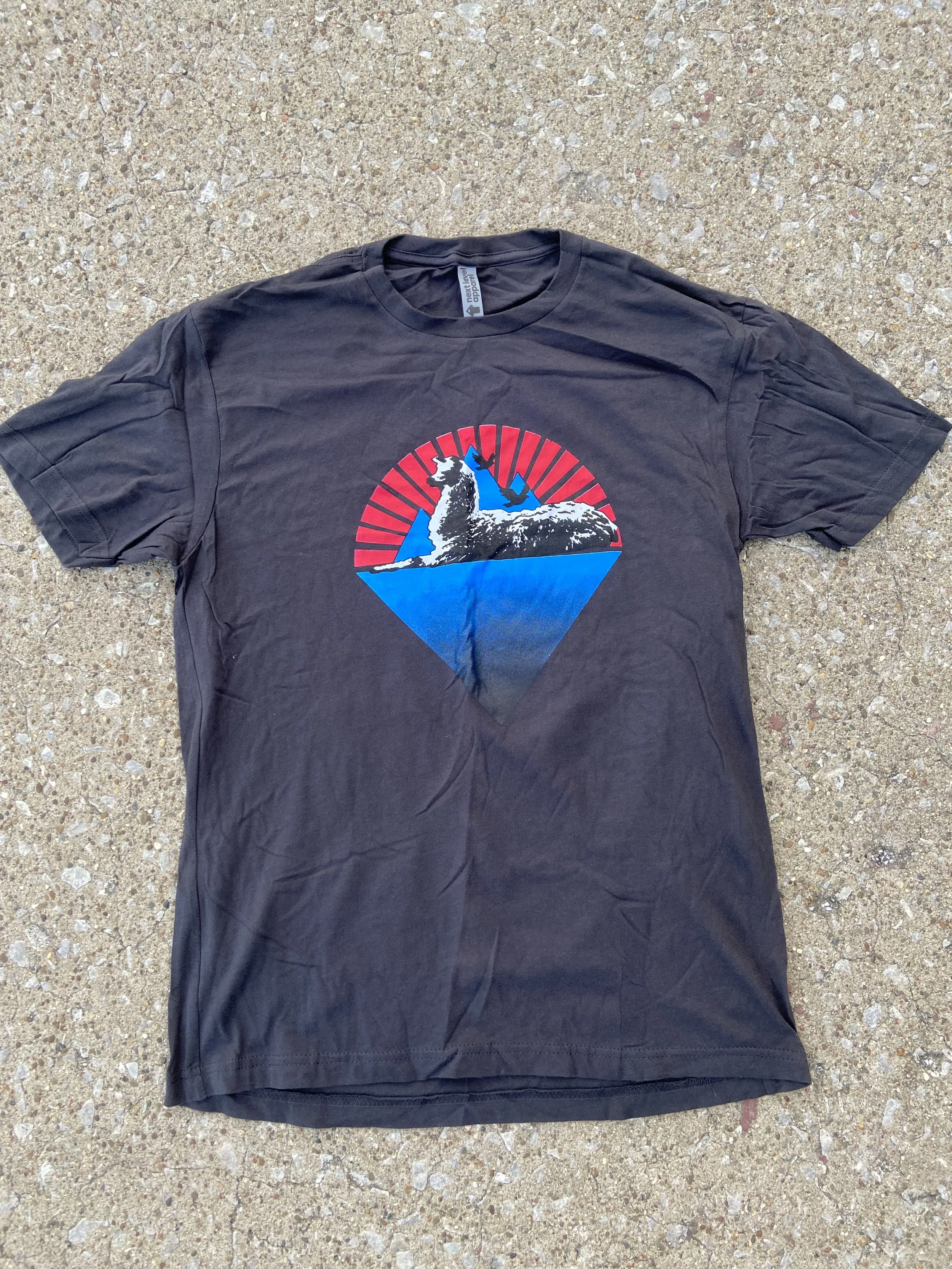 Llama under the stars