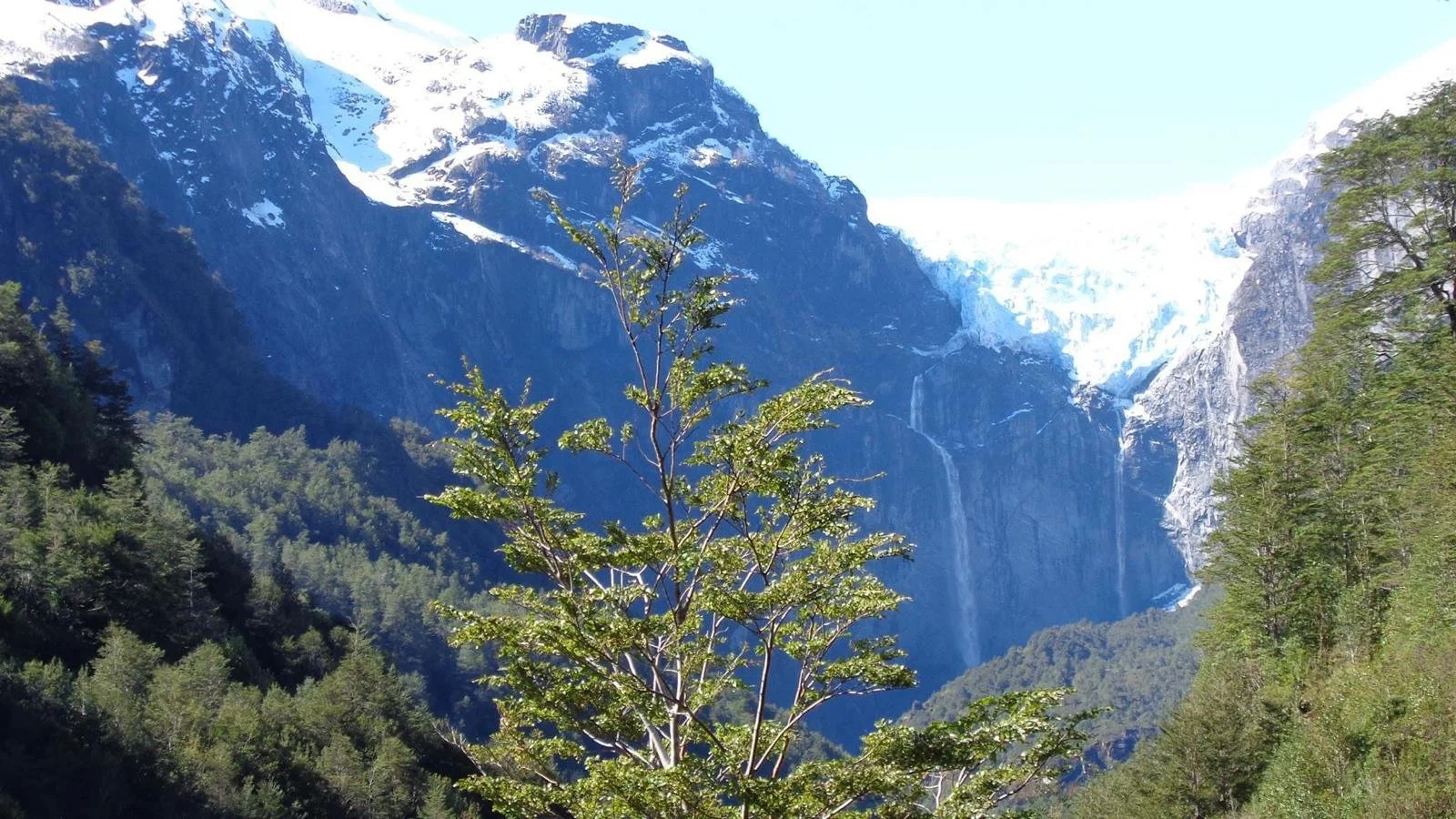 ventisquero colgante - Queulat.jpeg