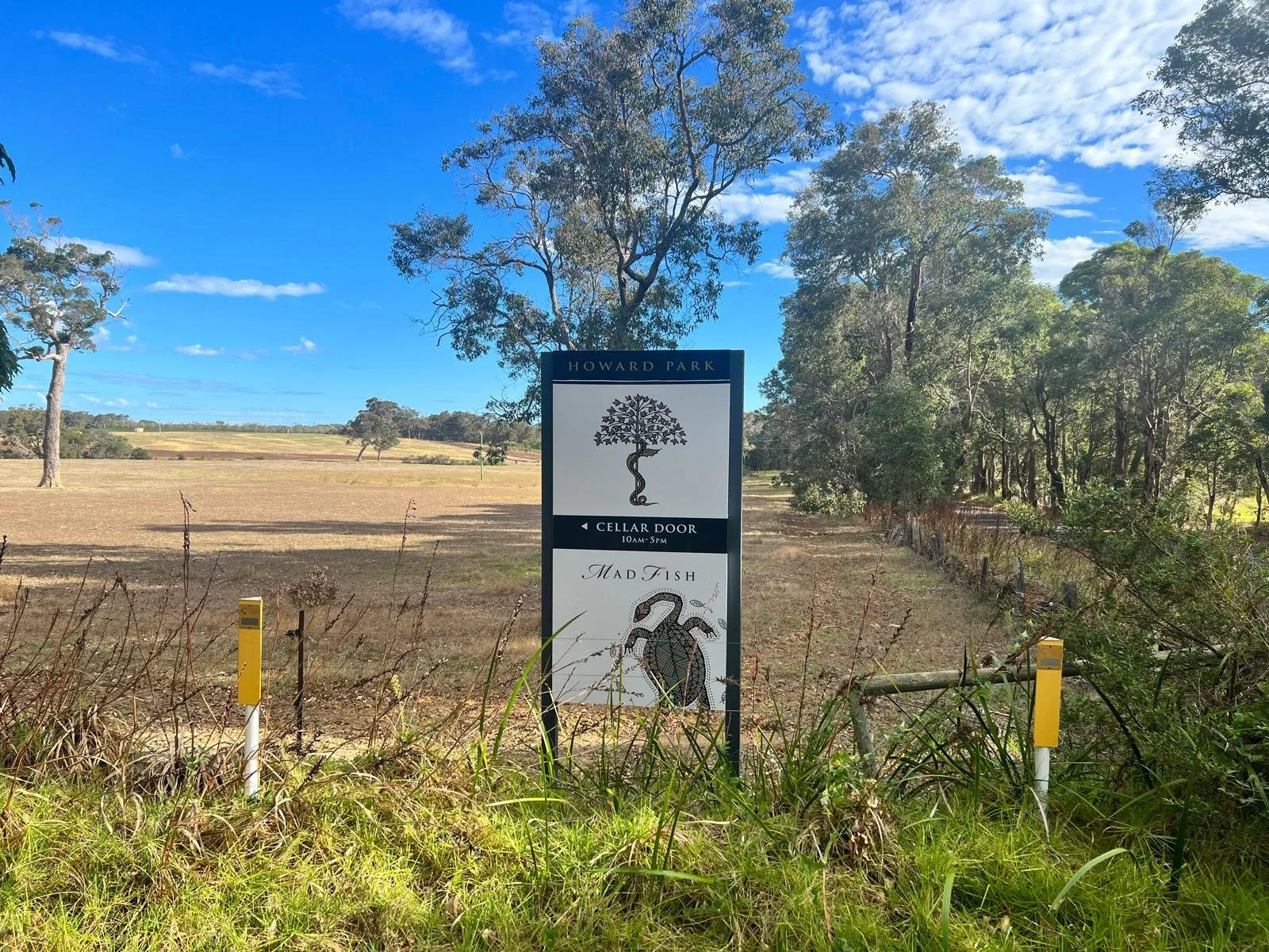 vinedos en margaret river.jpeg
