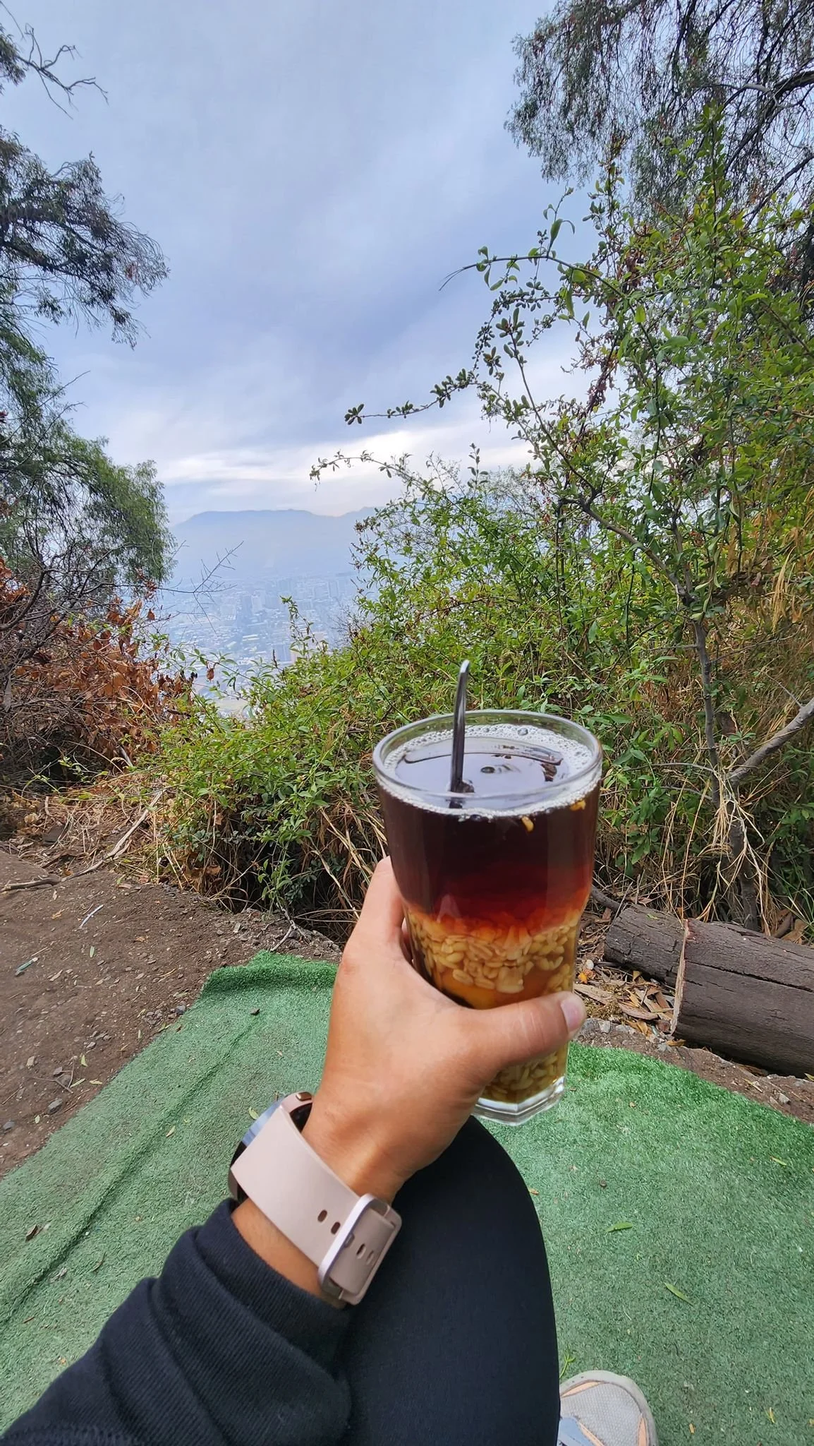 vaso con mote con huesillos.jpeg