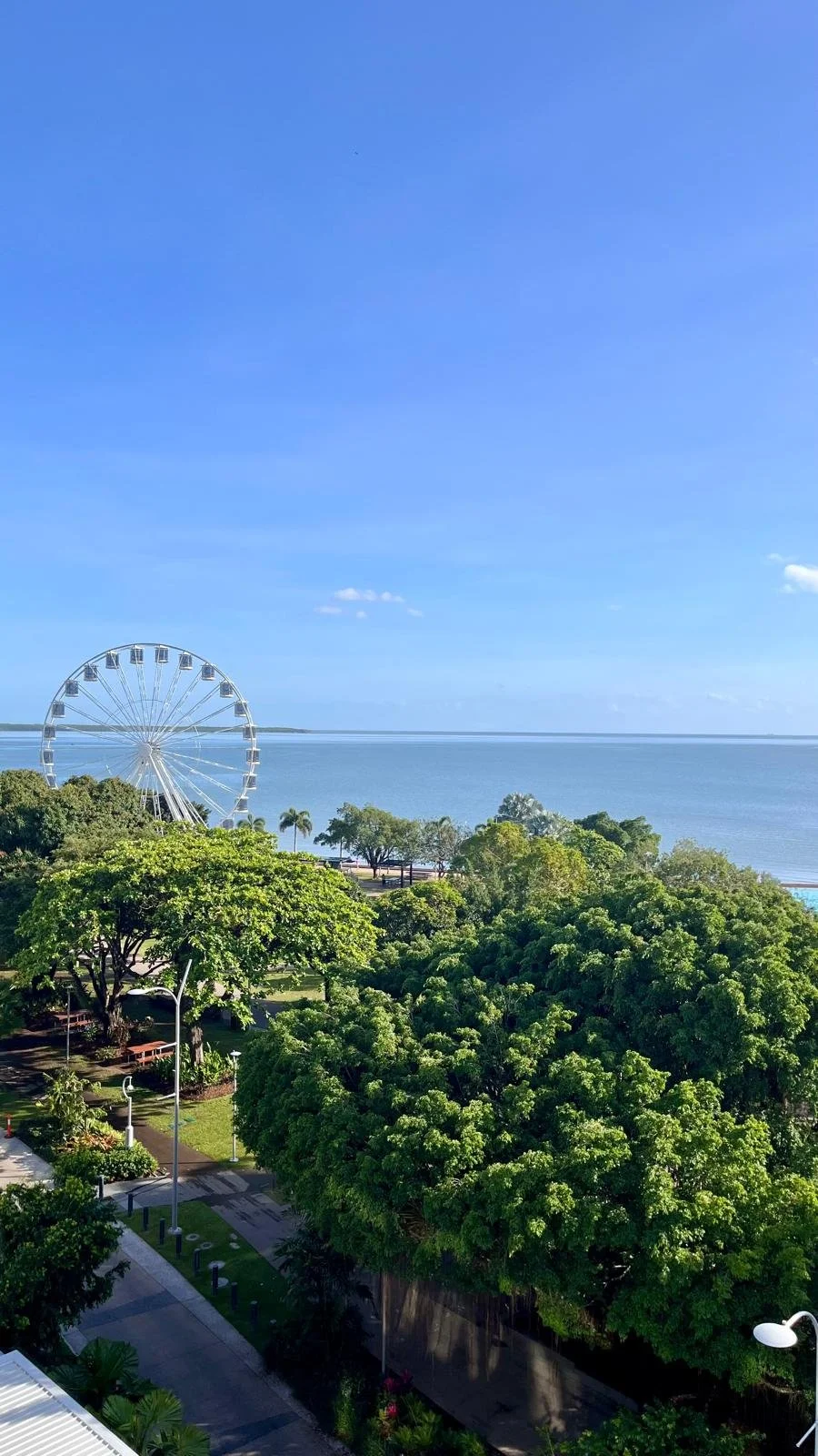 pasear alrededor de Cairns.jpeg