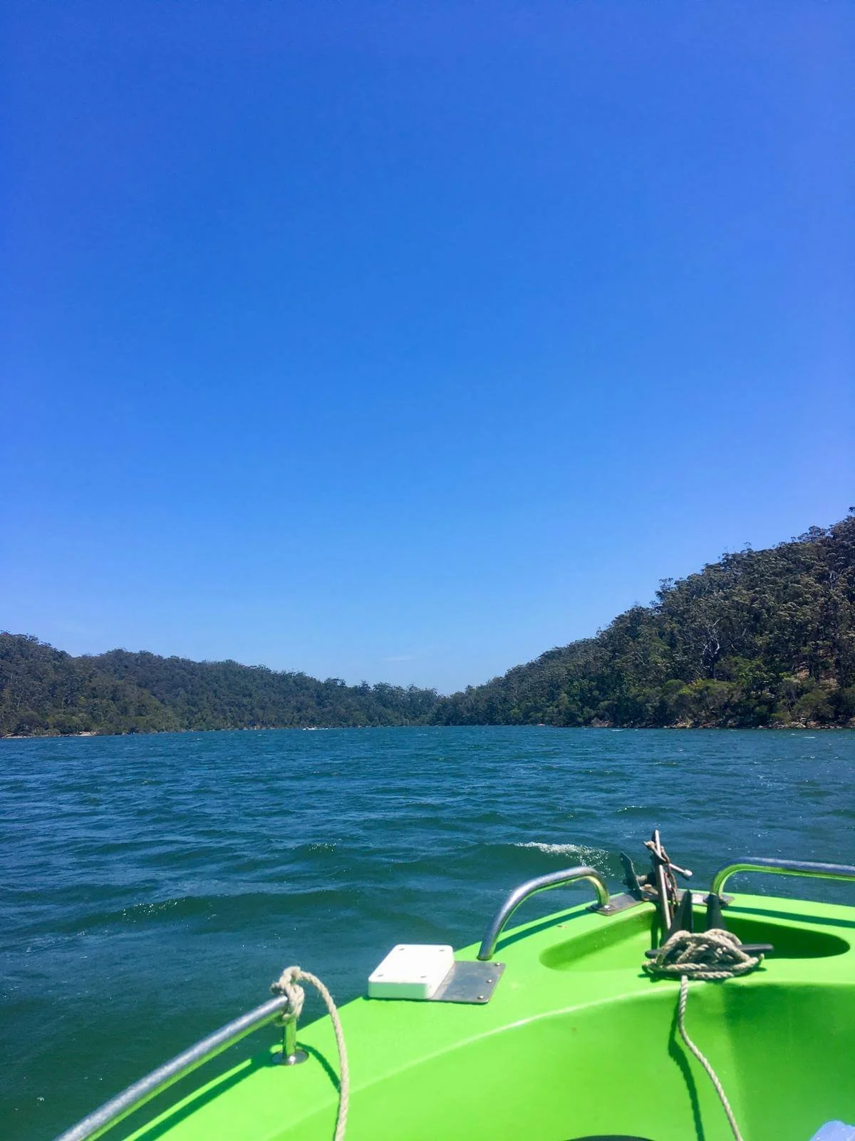 paseando en bote desde Mallacoota por el rio.jpeg