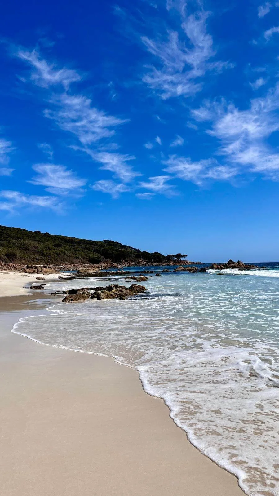 paisajes que te enamoran en bunker bay, western australia.jpeg