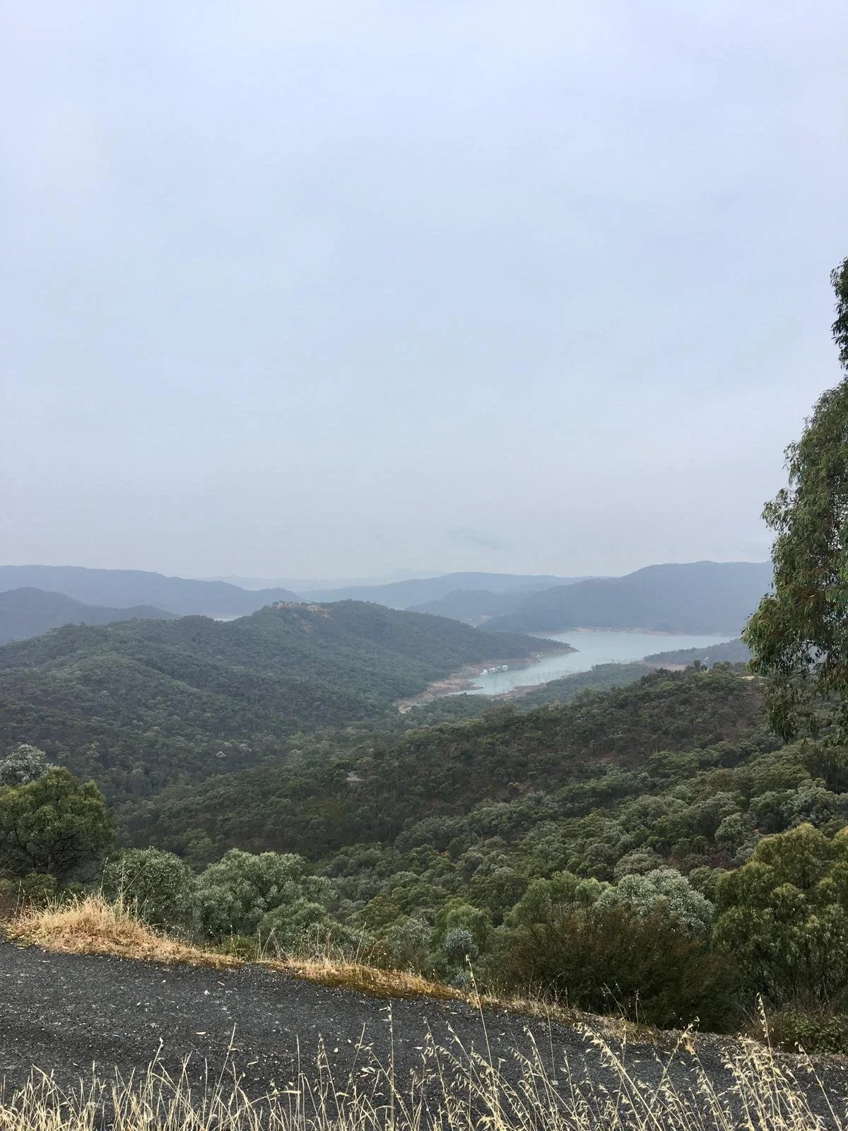 lake eildon desde un mirador.jpeg