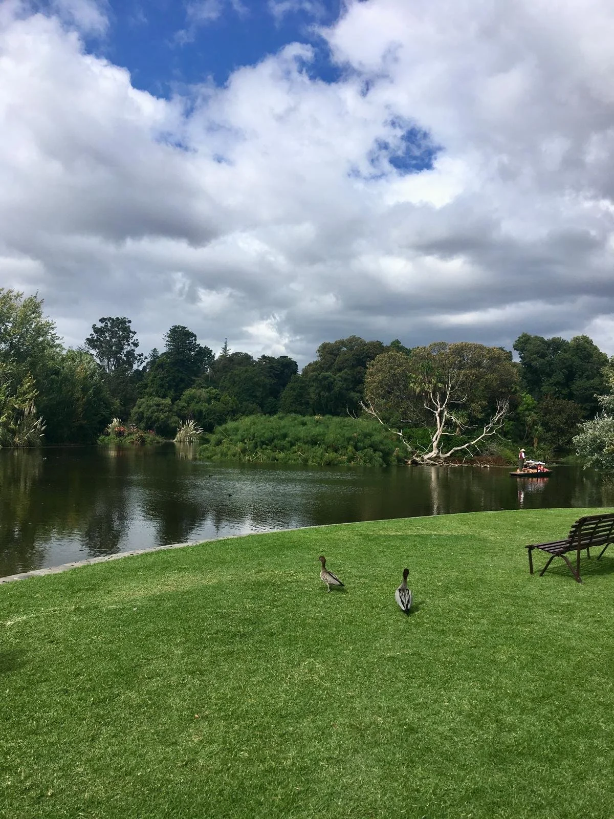 parque-botanico-en-Melbourne.jpeg