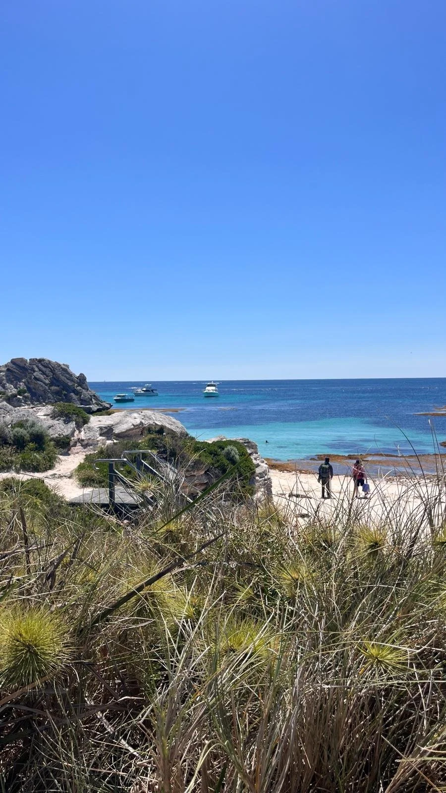 playas-en-rottnest-island.jpeg