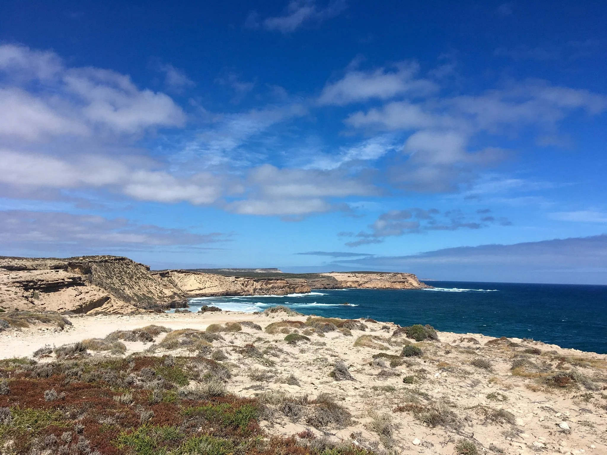 South Australia: cultura, vino, costa y rutas para explorar sin apuro