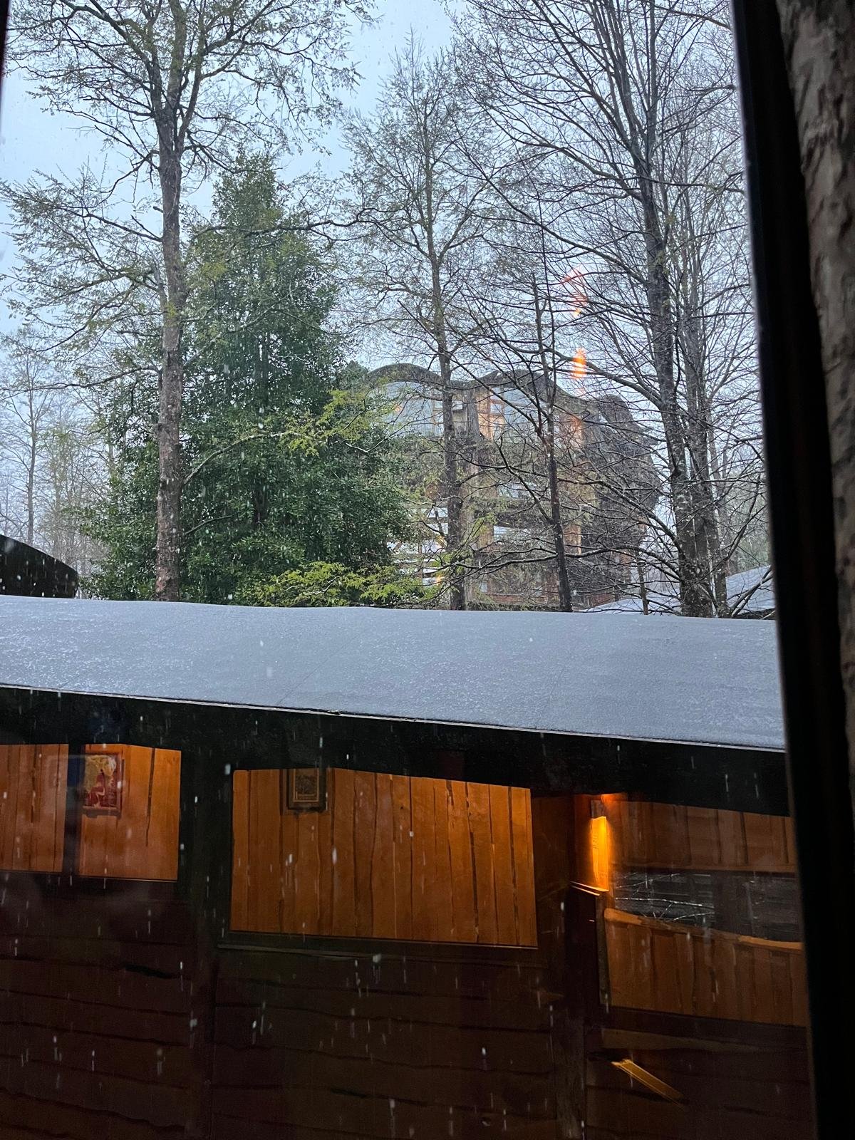 WhatsApp Image 2026-04-07 at 3.12.45 PM.jpeg