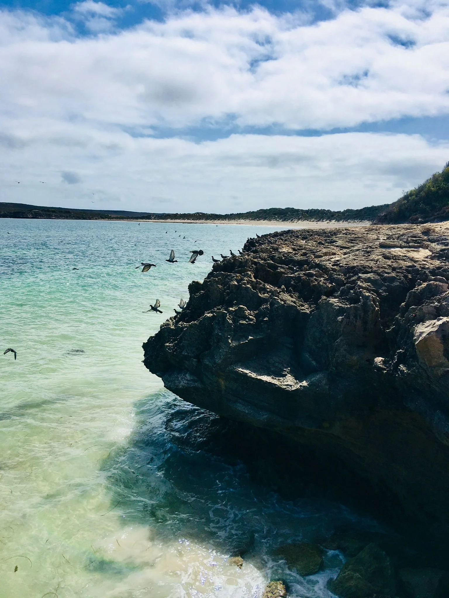 eyre-peninsula-south-australia.jpeg