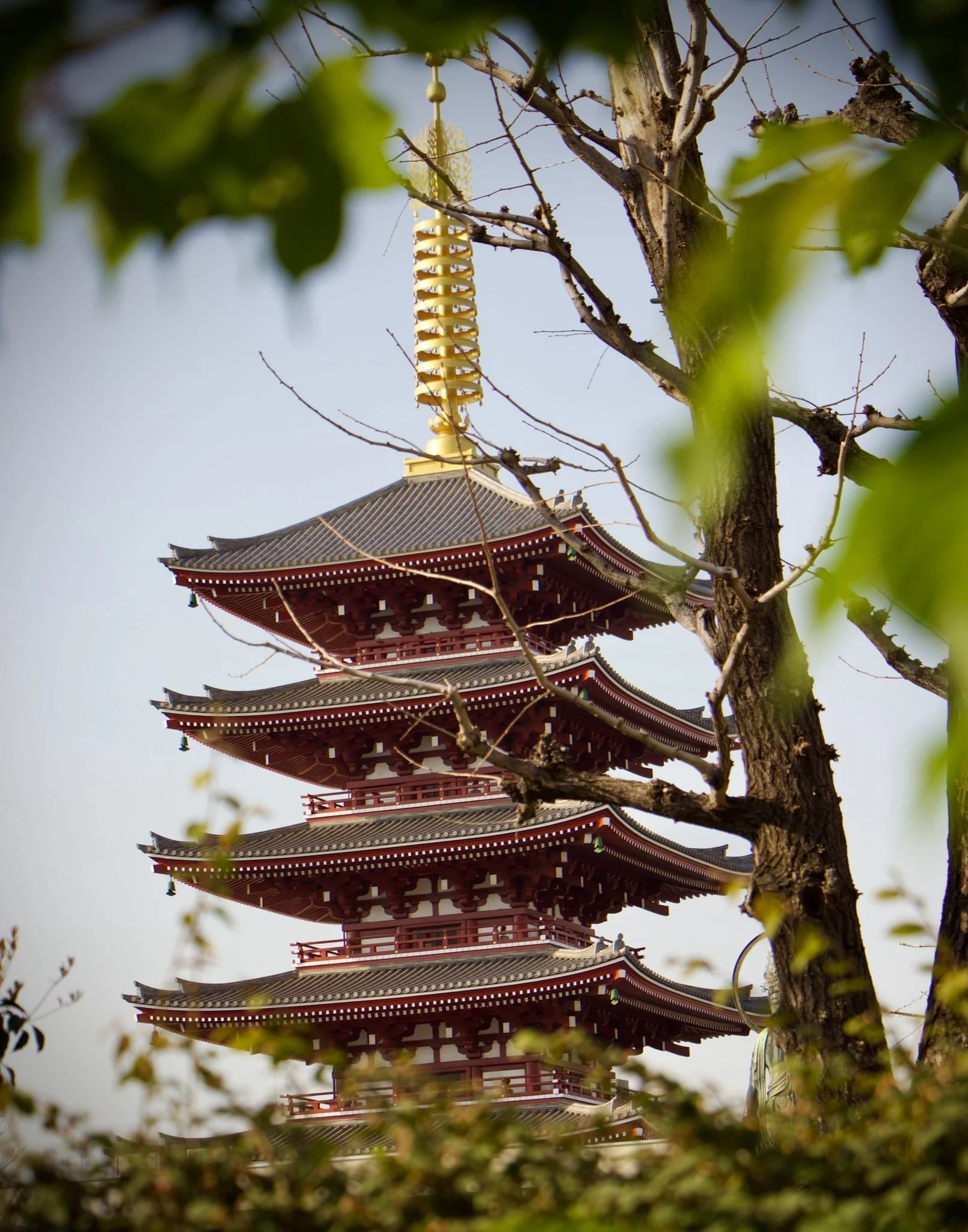 Viajar a Japón por primera vez: guía real para planear tu ruta