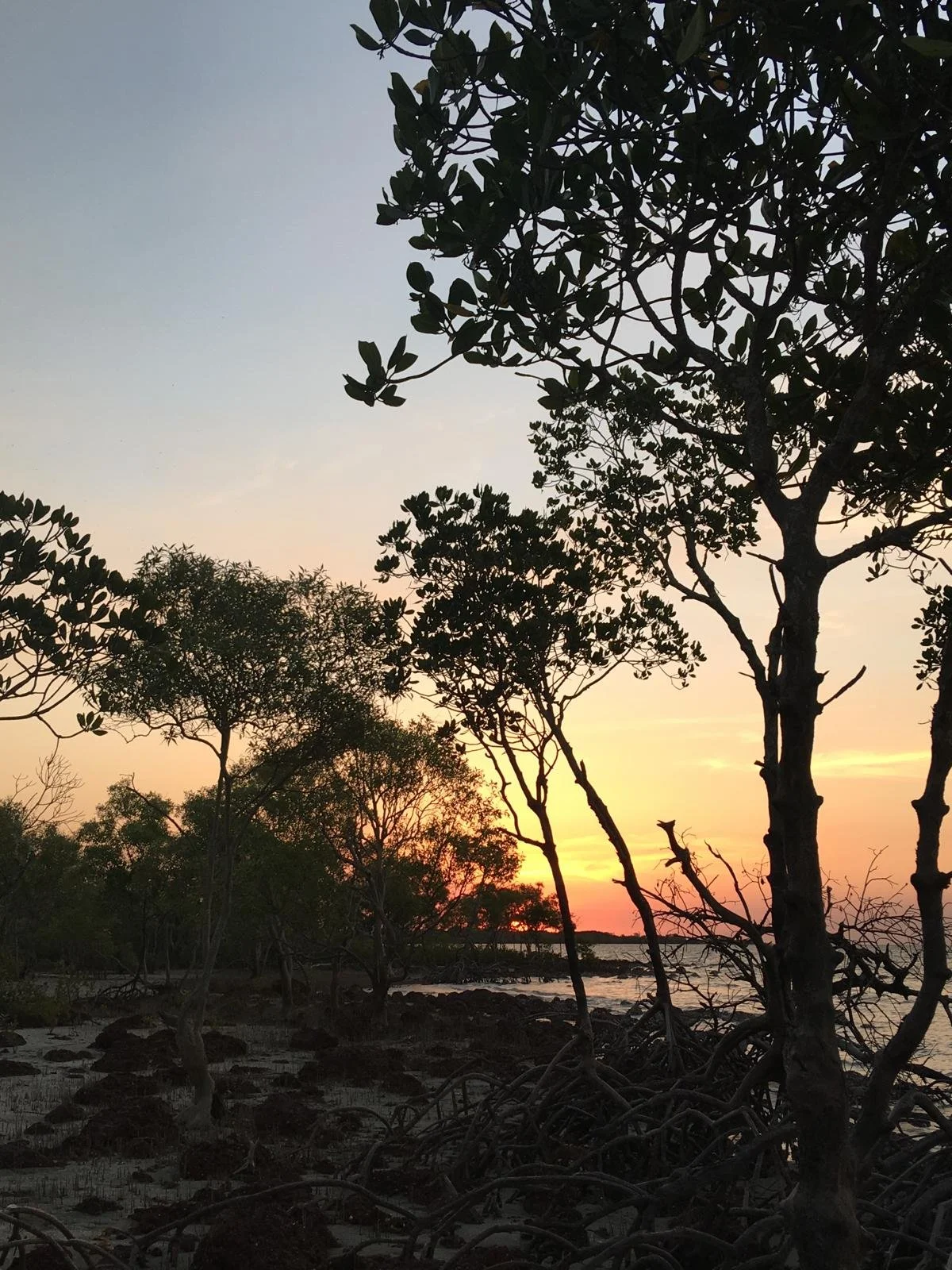 Weipa.jpeg