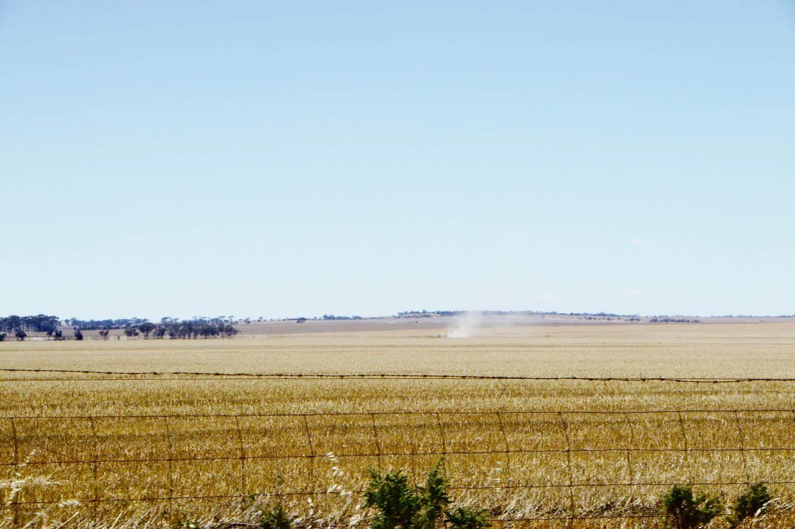 Clima extremo y calor intenso en zonas rurales de Australia durante trabajos agrícolas.
