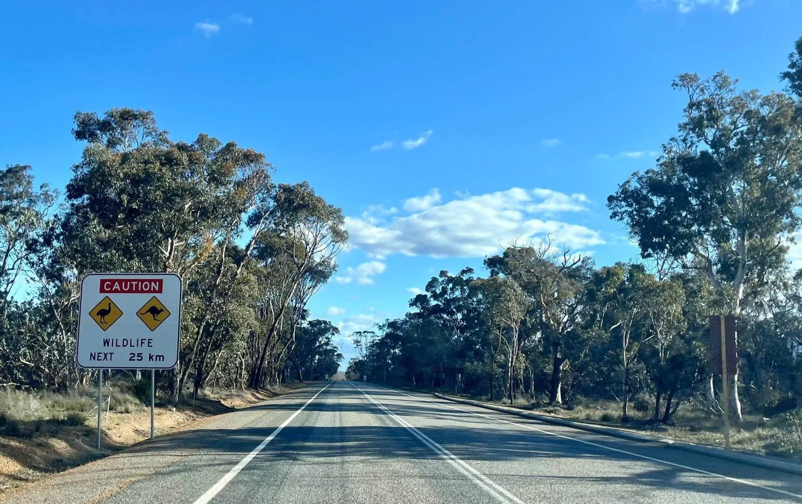 carteles de adventencia de animales en la via