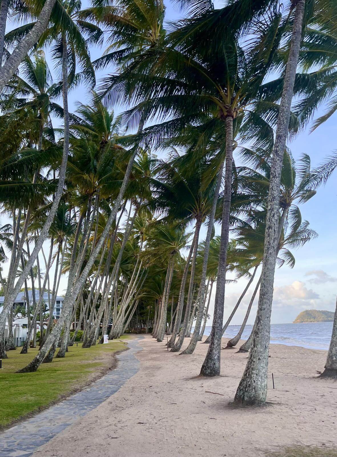 playa tropical con palmeras en Queensland, Australia