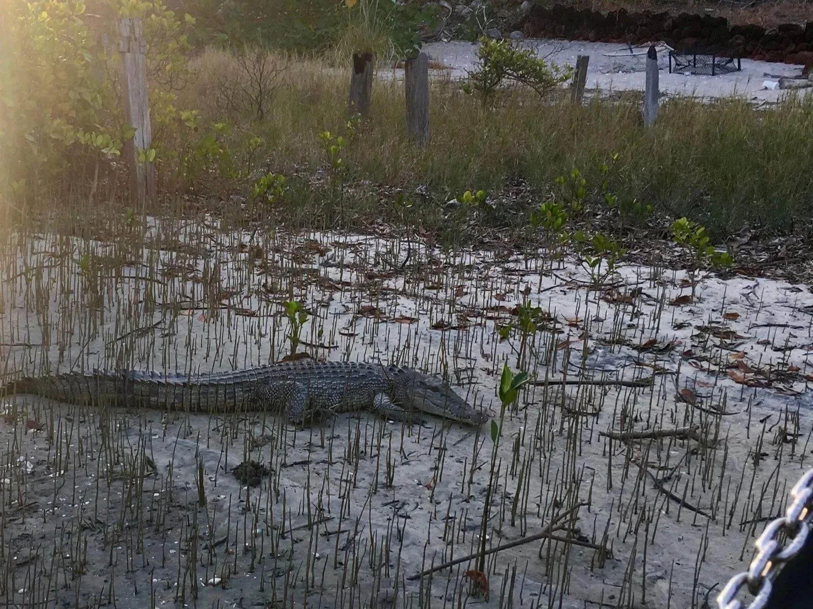 Australia · Far North Queensland