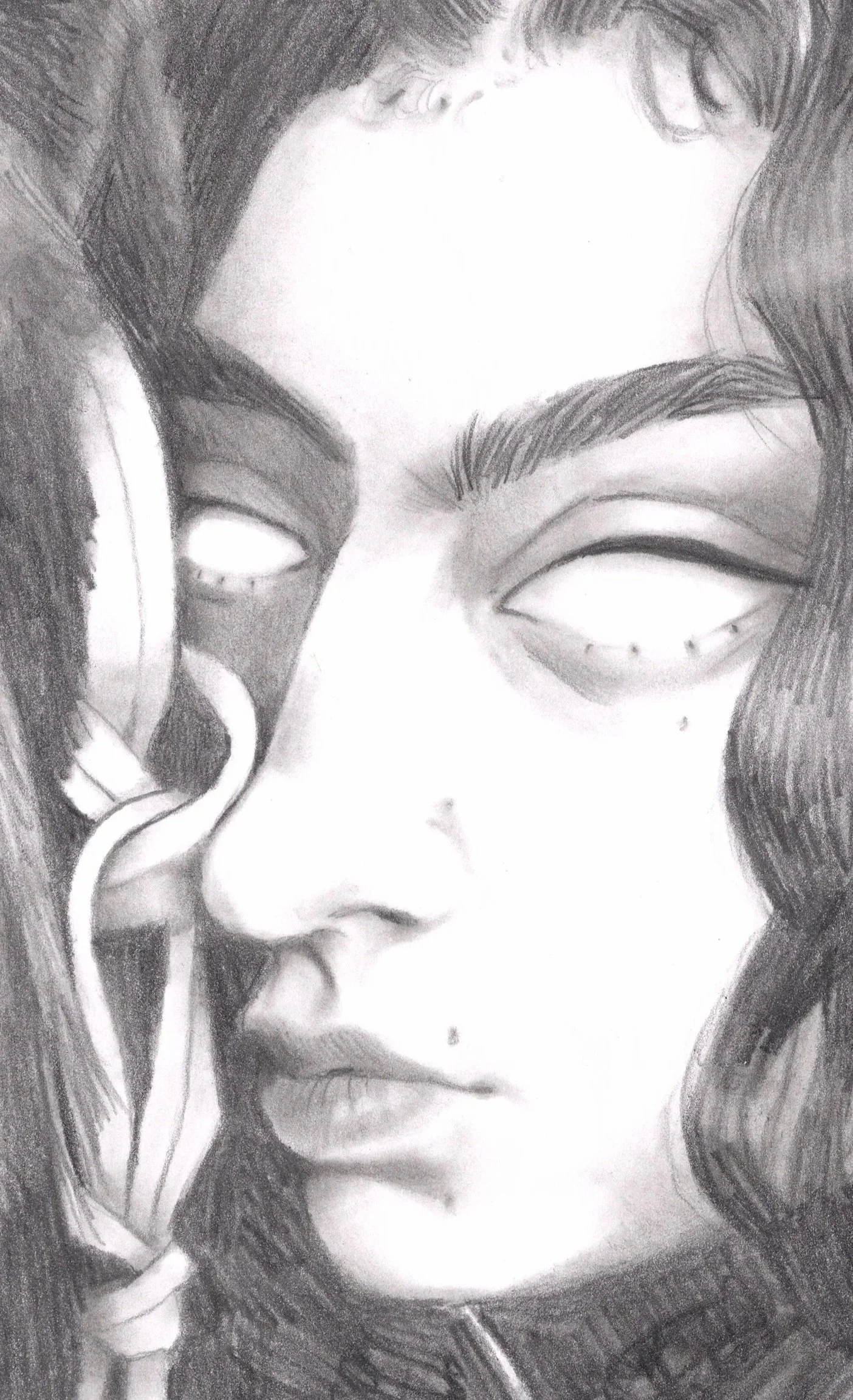 Charli-Horse.jpg