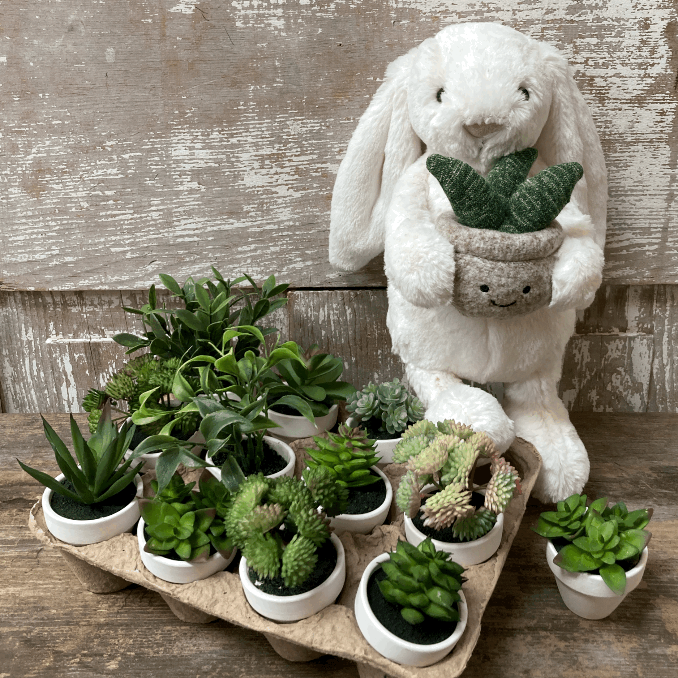 Cream Bunny with Plant