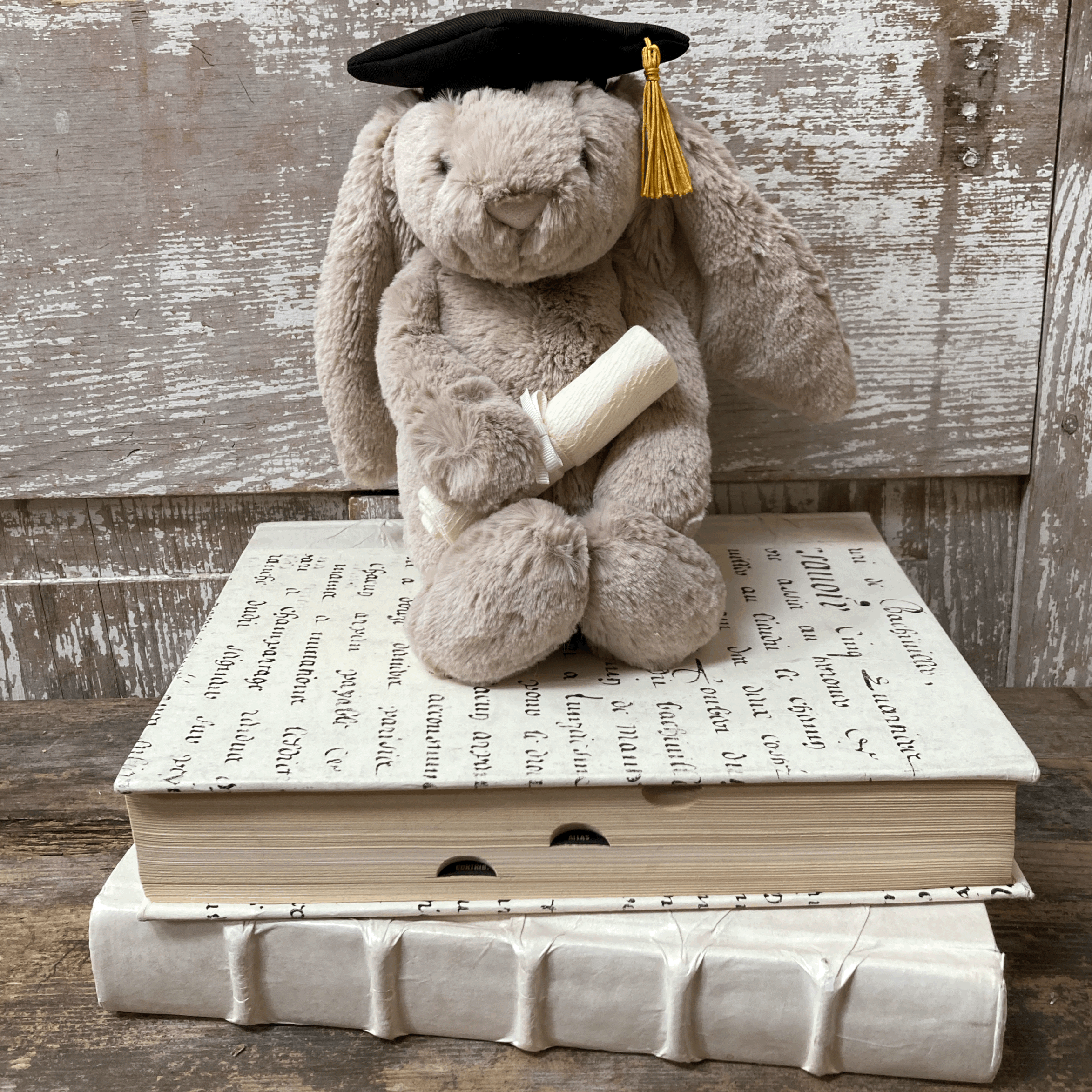 Bashful Bunny Graduation Outfit