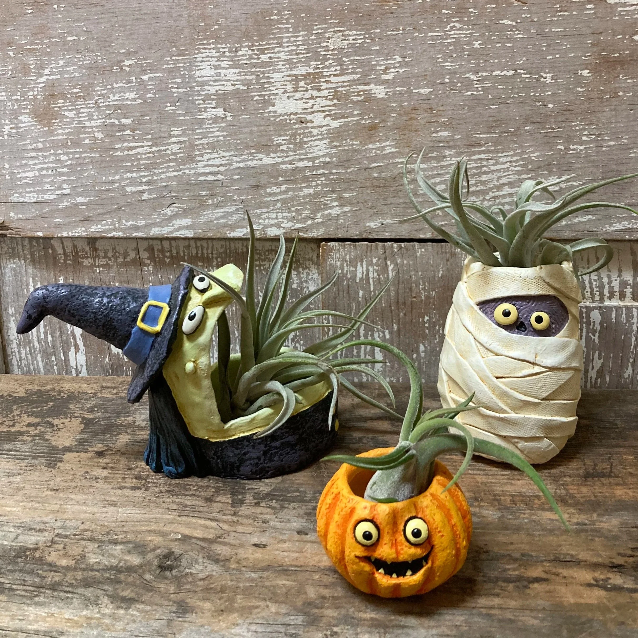 Halloween Air Plant Holders