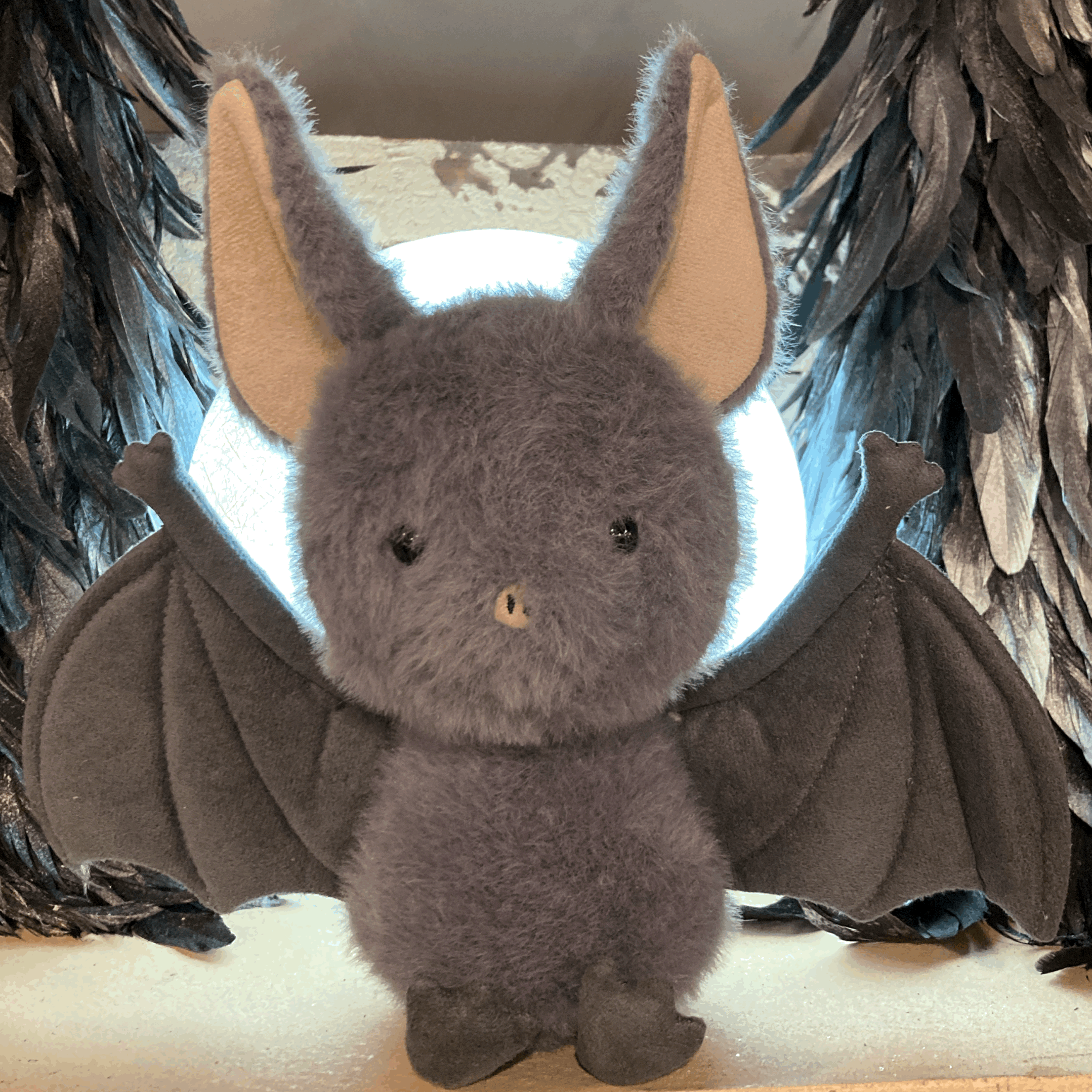 tempImaged6EDU3.jpg