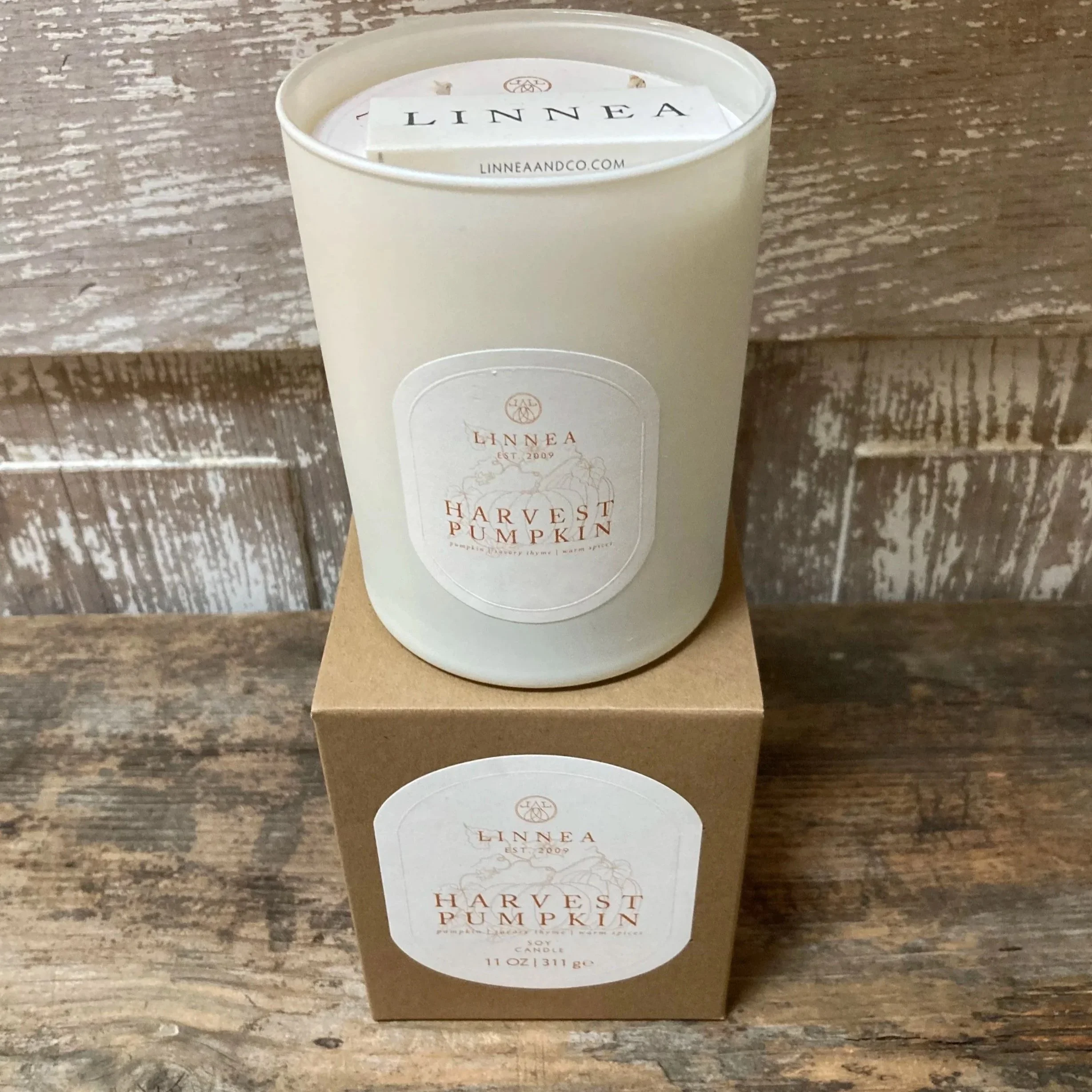 Harvest Pumpkin Candle